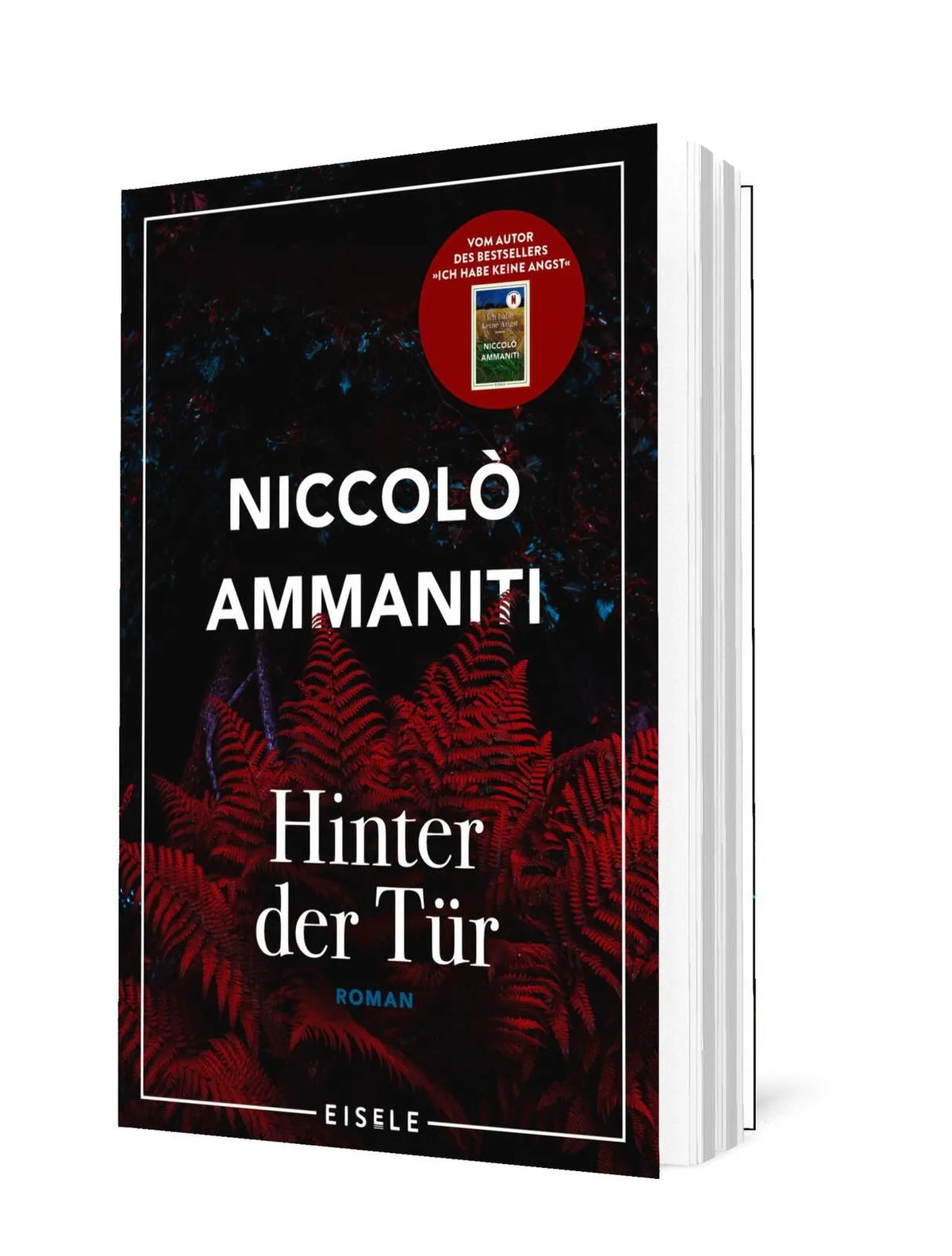 Detailansicht: Hinter der Tür (Paperback)