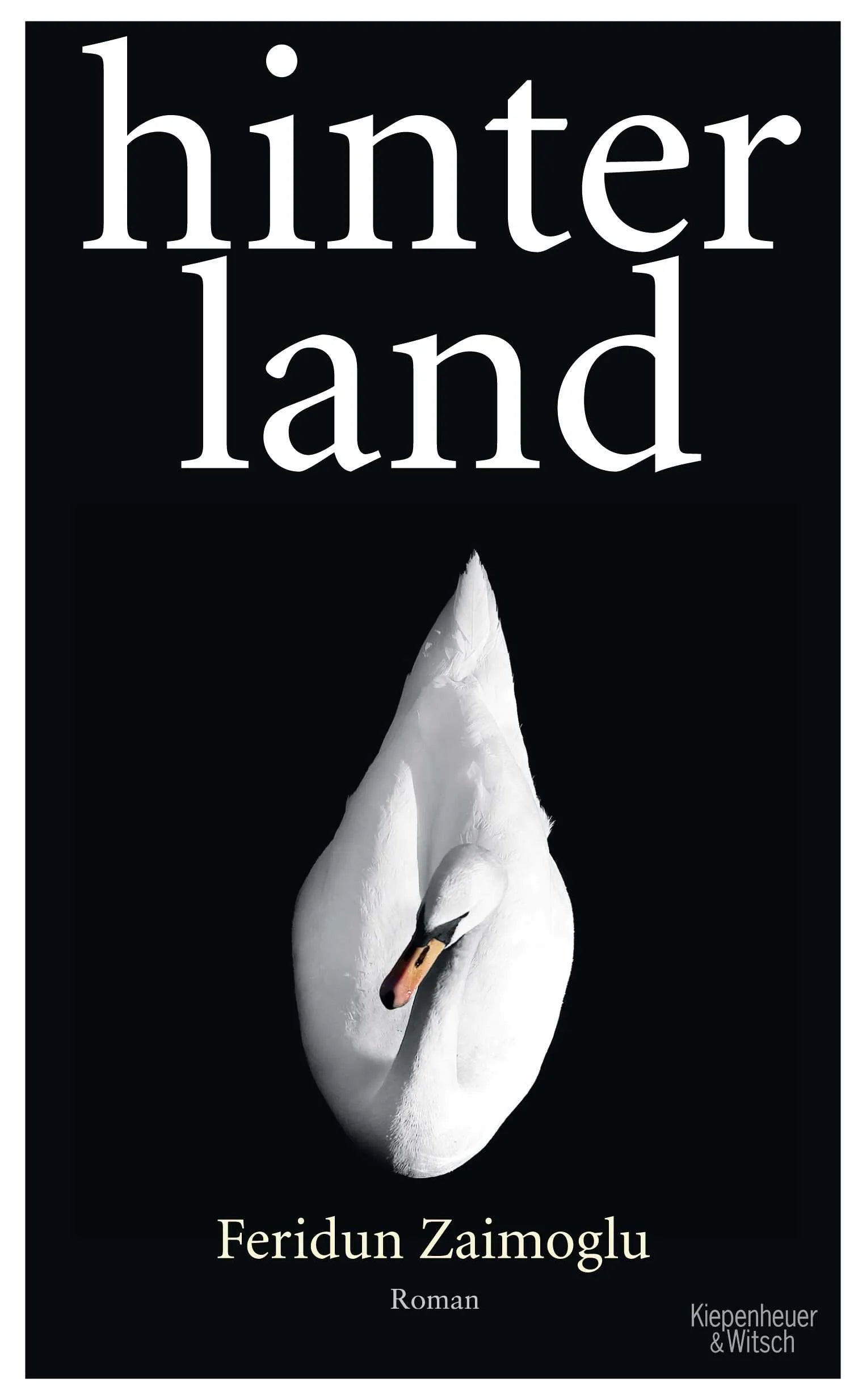 Buchcover von 'Hinterland' - Gebundene Ausgabe von Feridun Zaimoglu