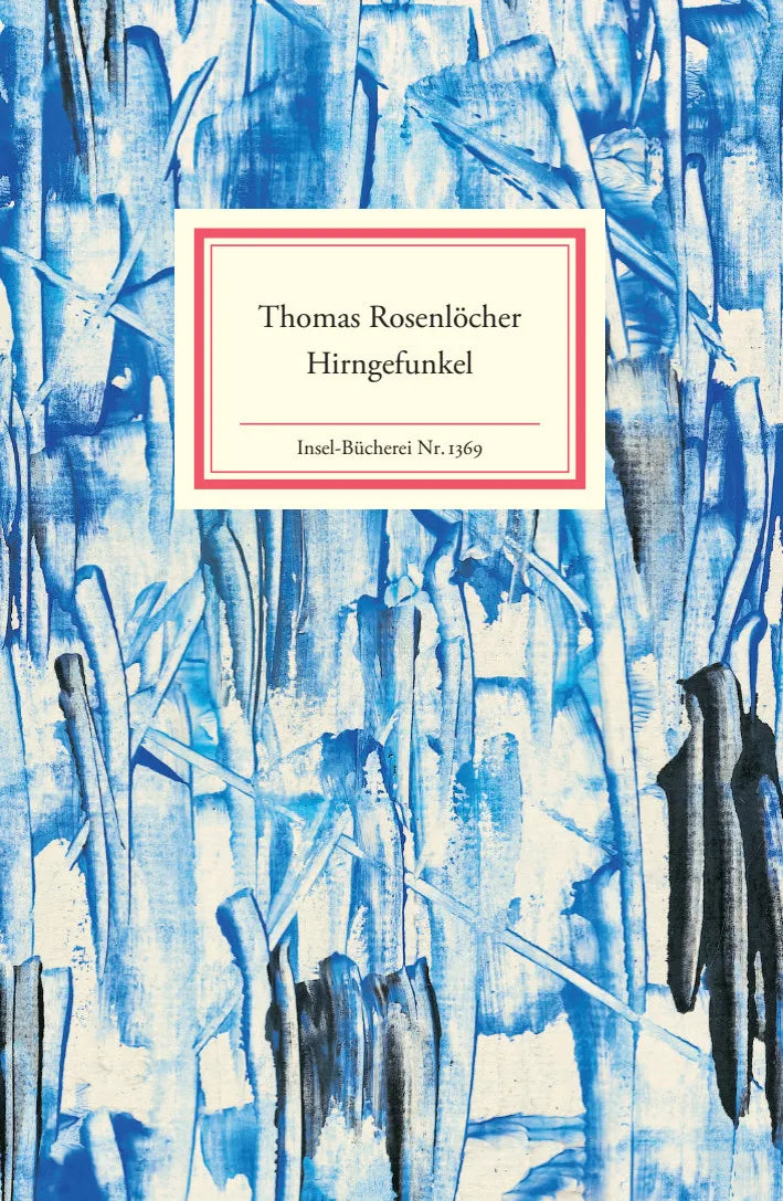 Buchcover von 'Hirngefunkel' - Gebundene Ausgabe von Thomas Rosenlöcher