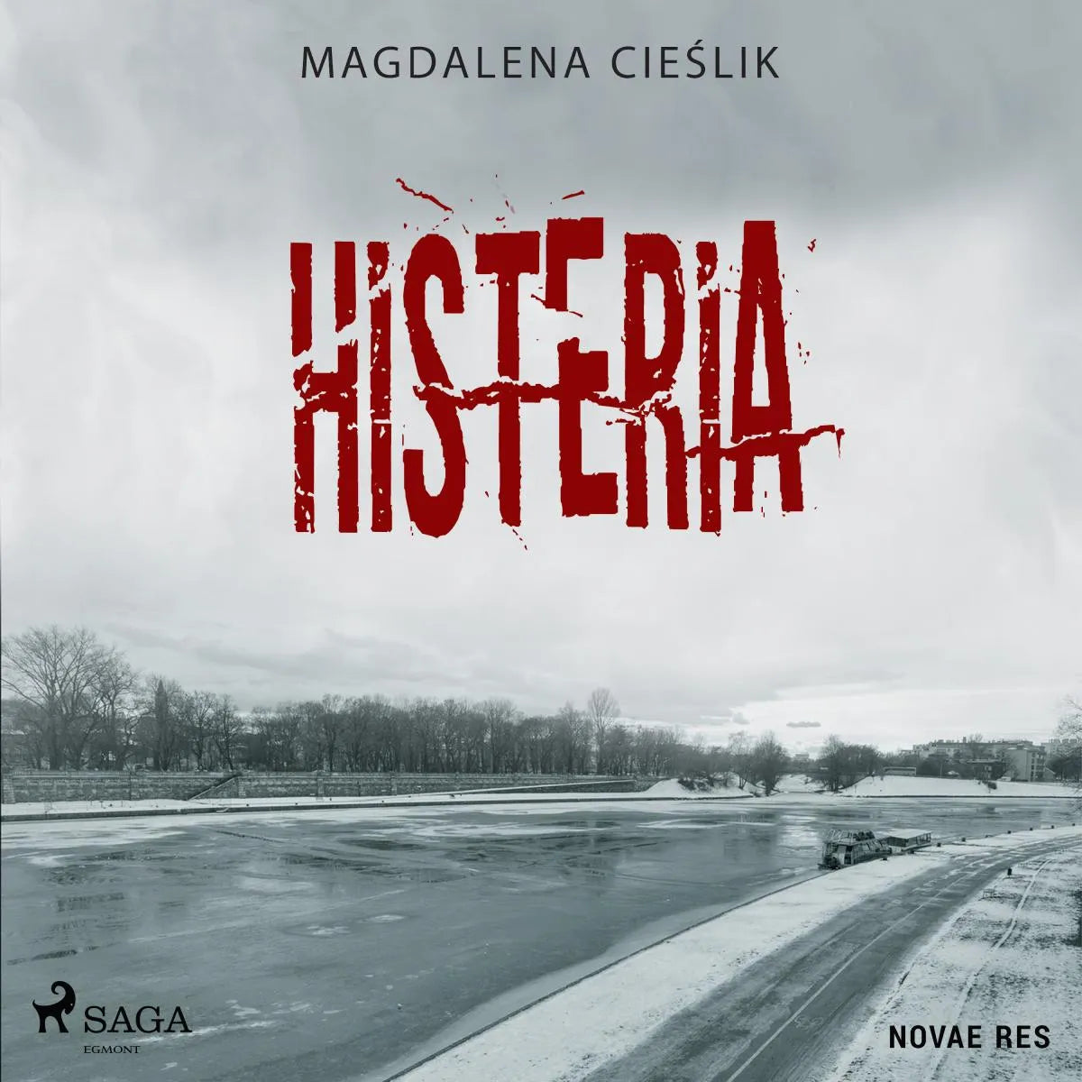 Cover: Histeria (Hörbuch Download) von Magdalena Cieslik