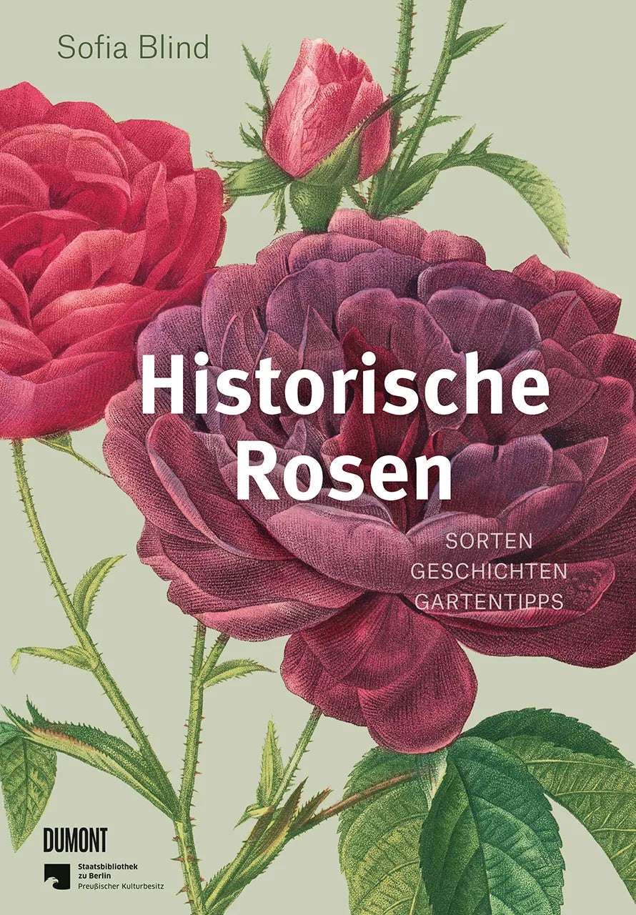 Buchcover von 'Historische Rosen' - Gebundene Ausgabe von Sofia Blind