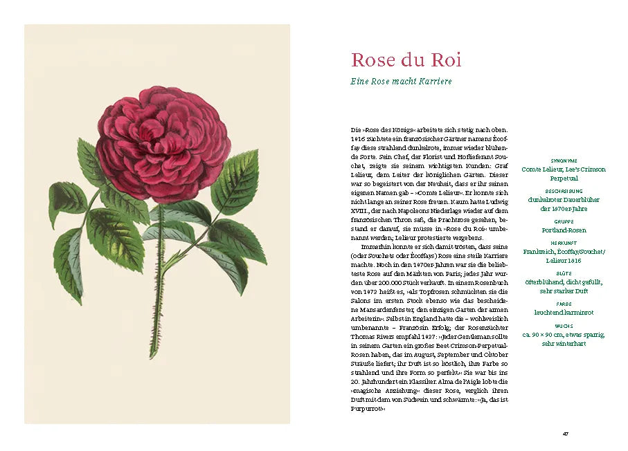 Produktansicht: Historische Rosen (Gebundene Ausgabe)