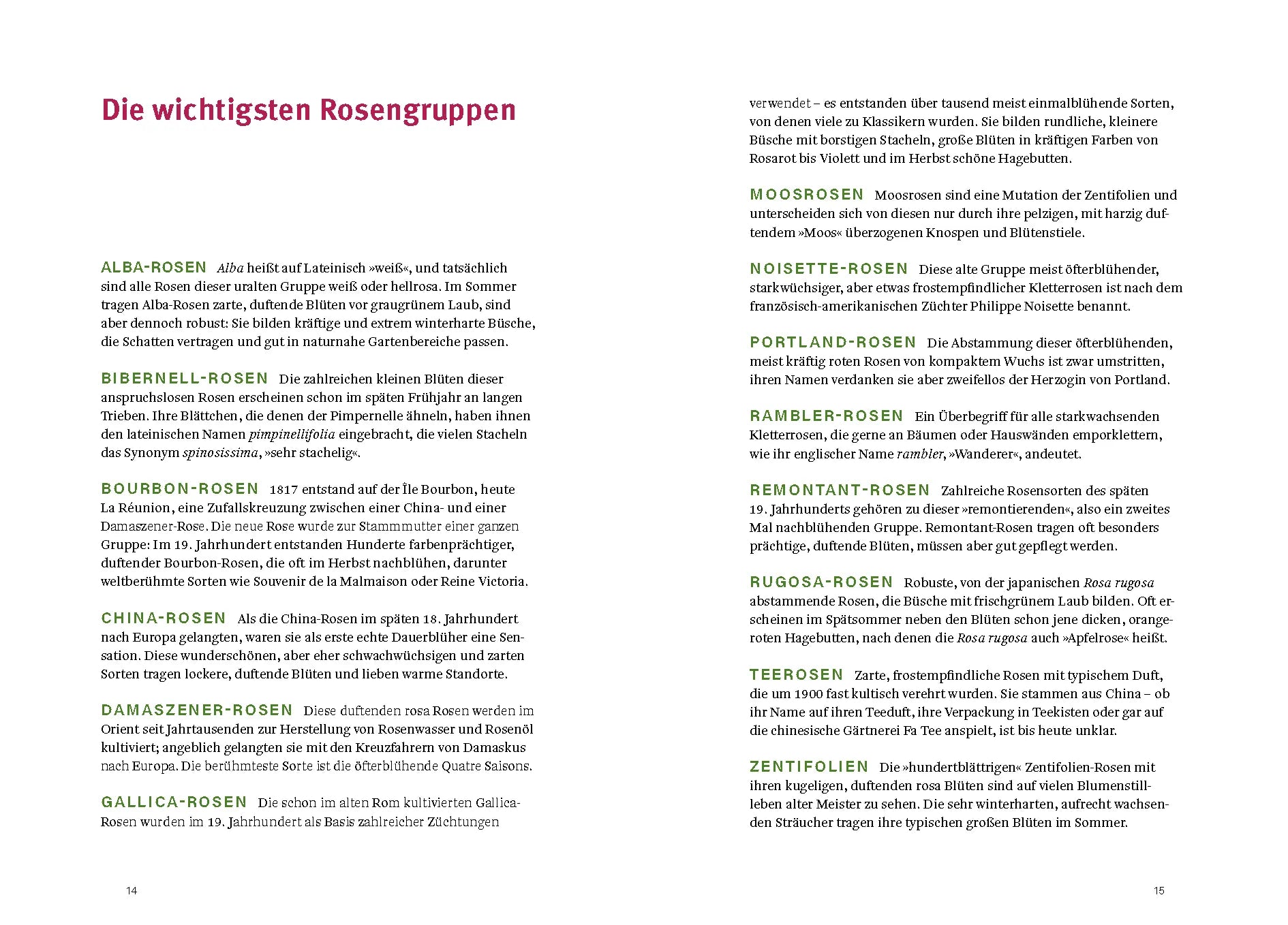 Abbildung von 'Historische Rosen'