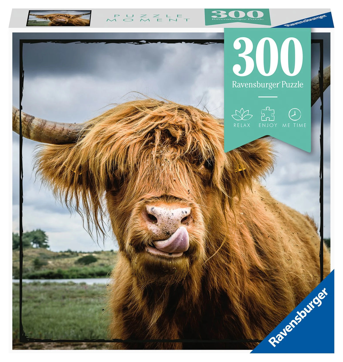 Puzzle: Erwachsenenpuzzle 300 Teile - Hochlandrind