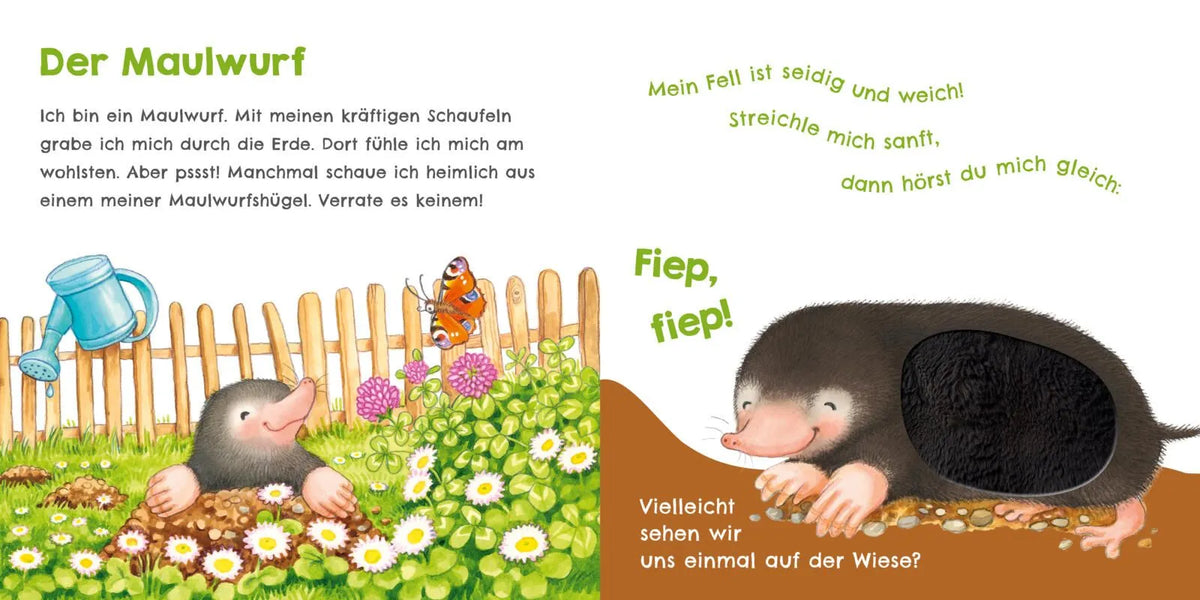 Detailansicht: Hör mal, wie ich schmatzen kann (Hardcover)