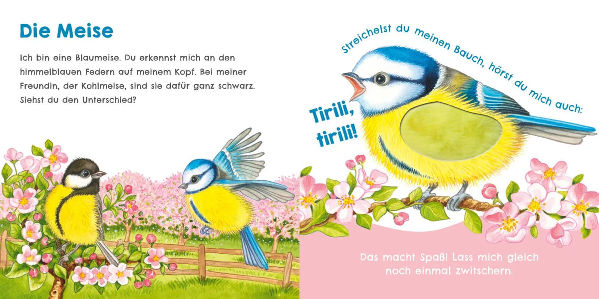 Detailansicht: Hör mal, wie ich schmatzen kann (Hardcover)
