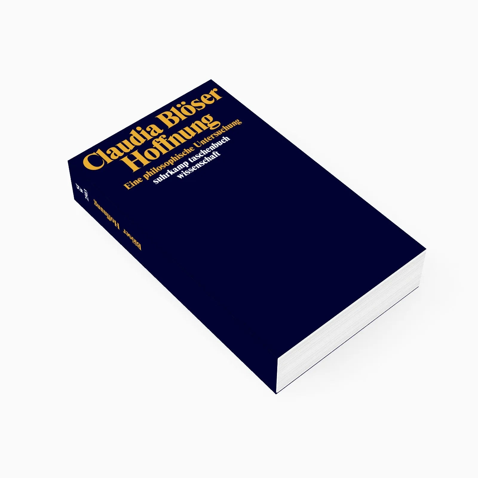Detailansicht: Hoffnung (Taschenbuch)