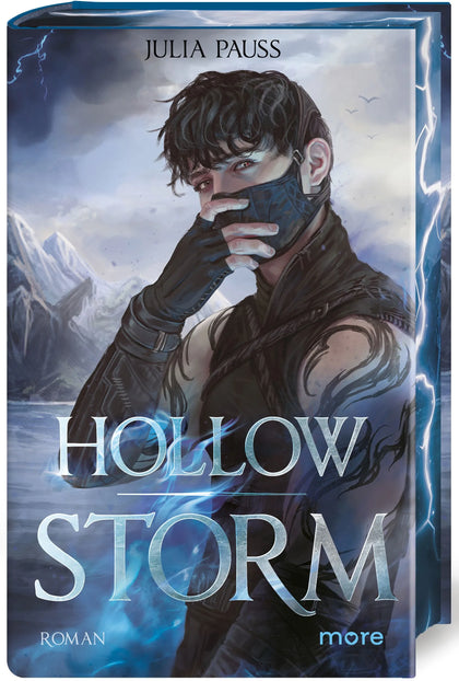 Cover: Hollow Storm (Hardcover) von Julia Pauss