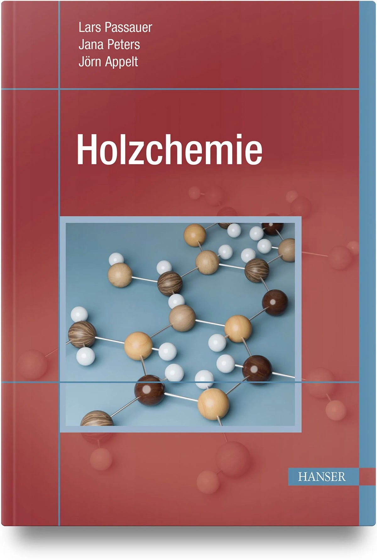 Cover: Holzchemie (Hardcover) von Lars Passauer