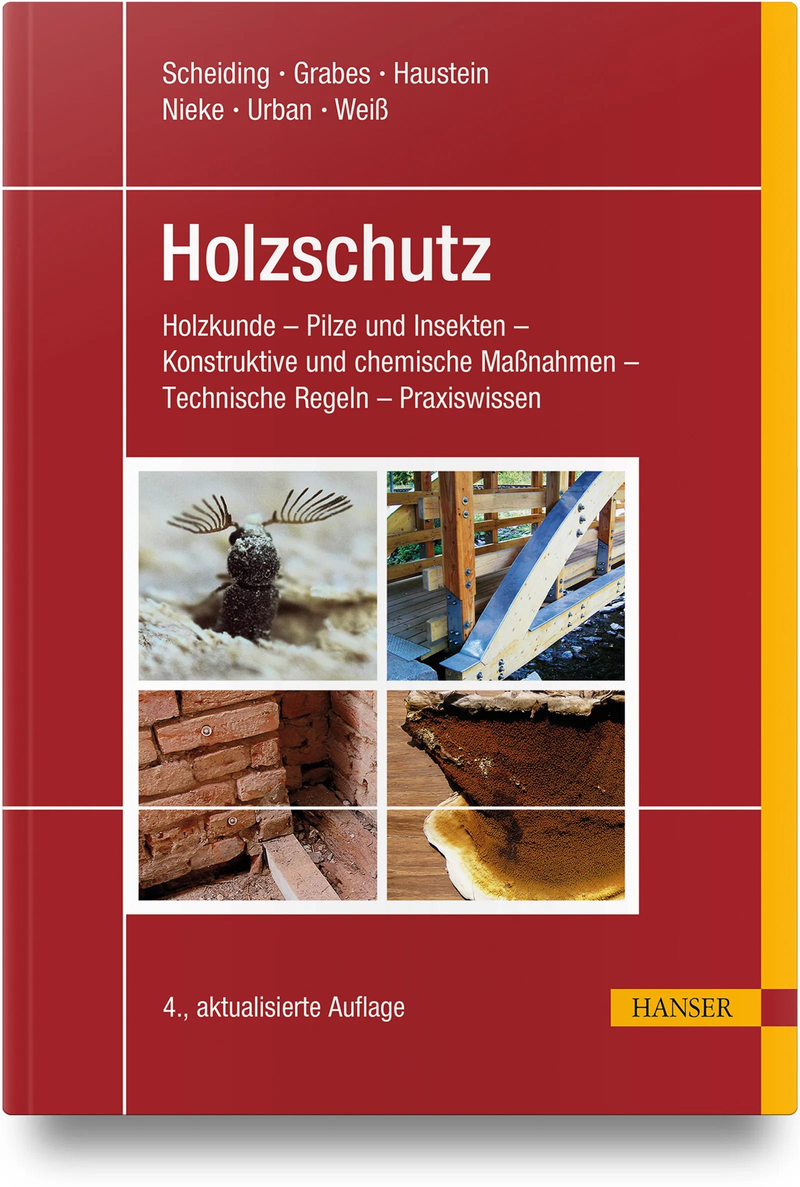 Buchcover von 'Holzschutz' - Gebundene Ausgabe von Wolfram Scheiding