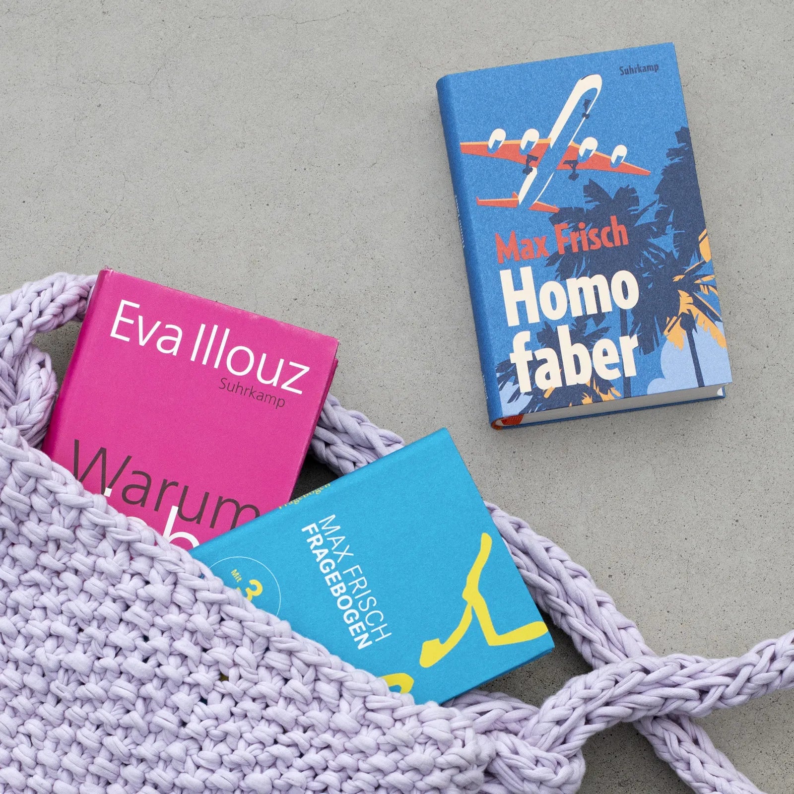 Detailansicht: Homo faber (Hardcover)