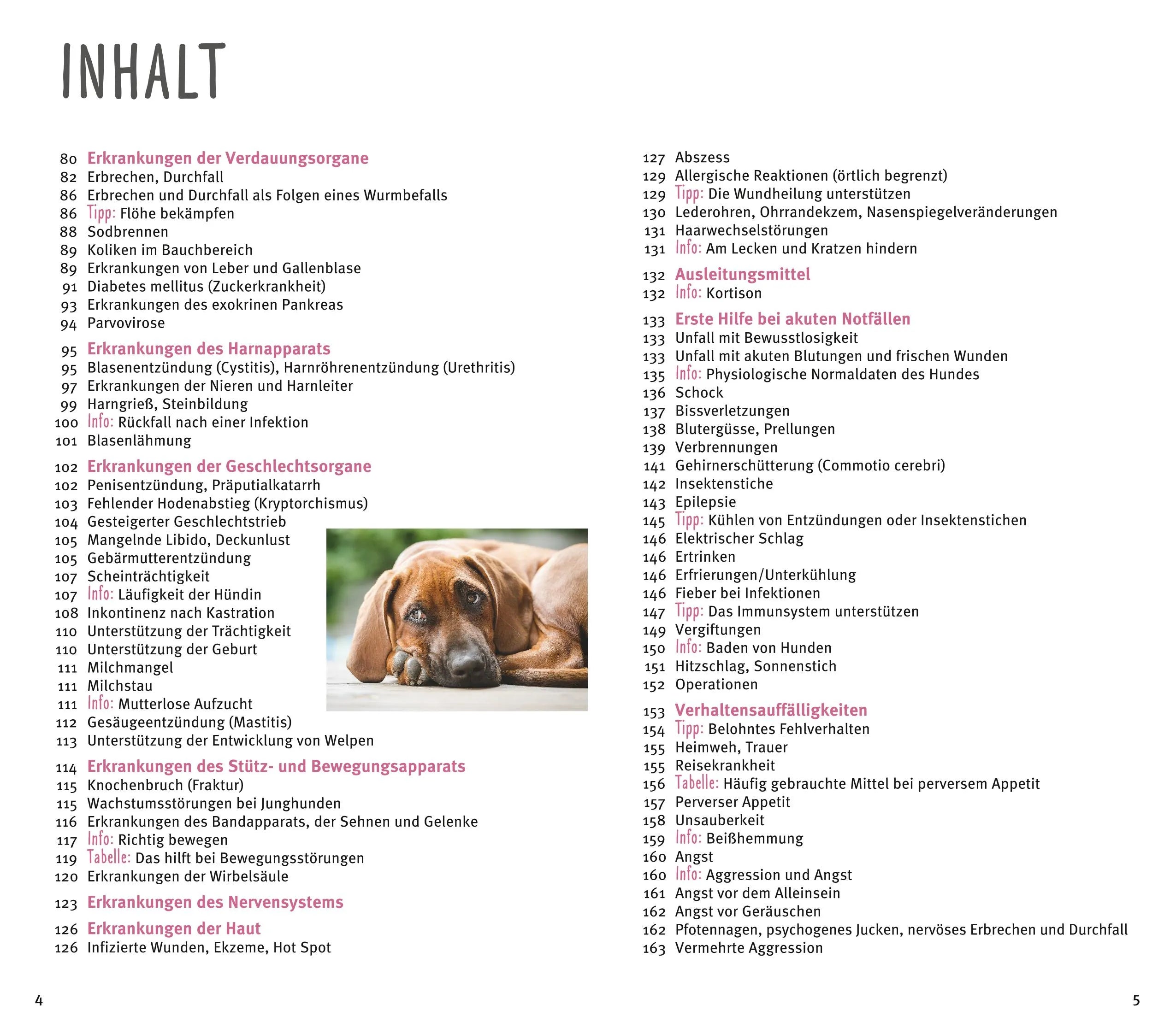 Produktansicht: Homöopathie für Hunde (Taschenbuch)