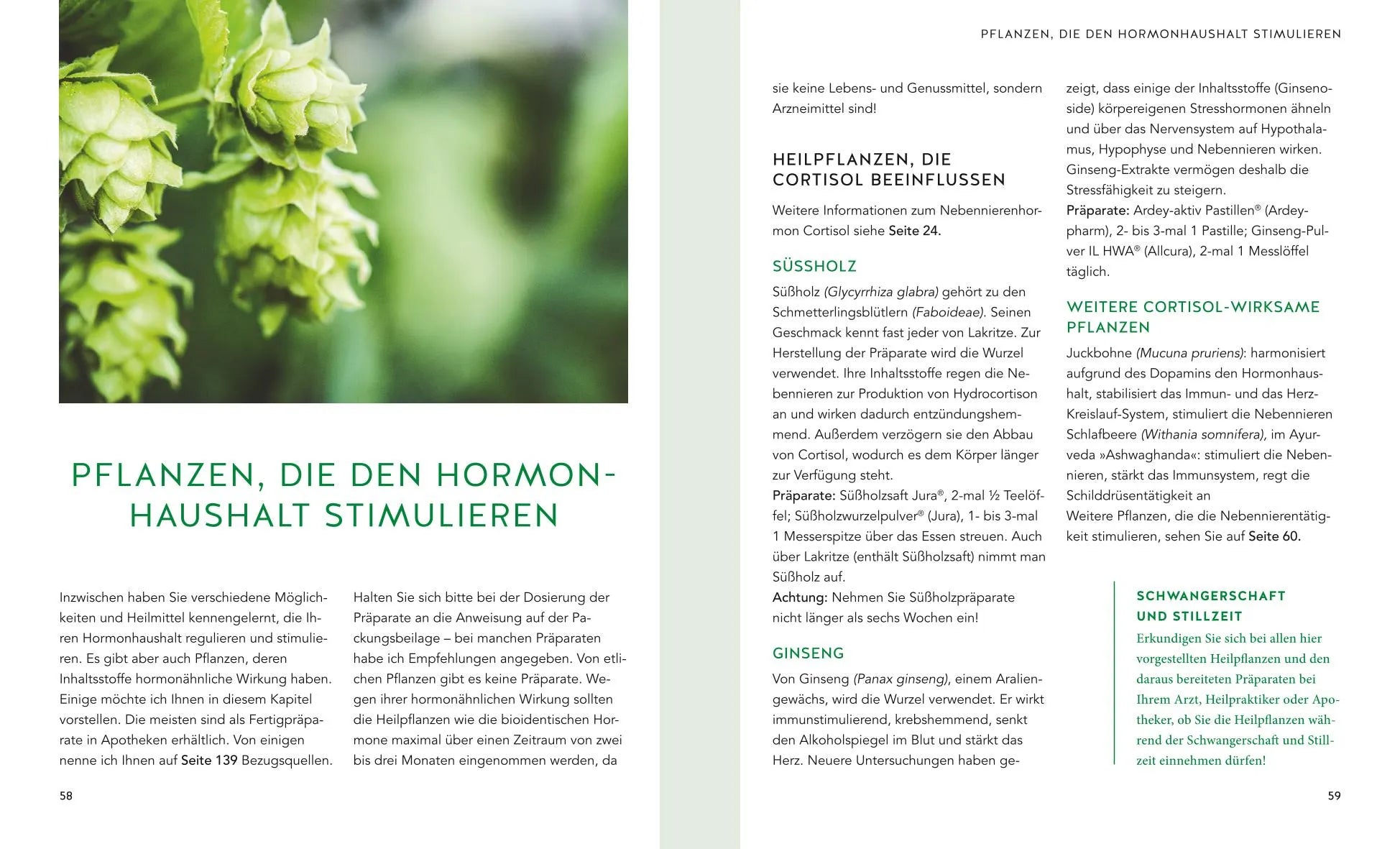 Produktansicht: Hormone natürlich regulieren (Taschenbuch)