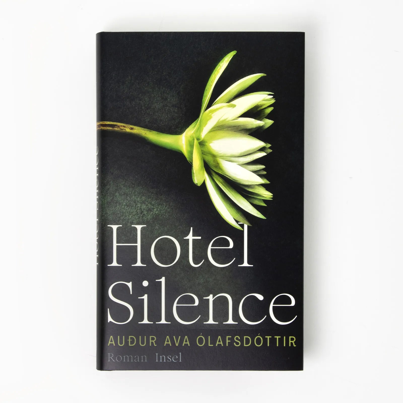 Abbildung von 'Hotel Silence'