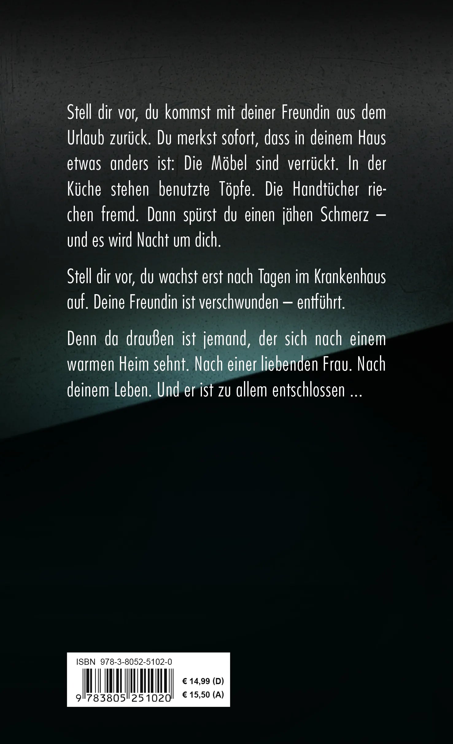 Buchrückseite von 'Housesitter' mit Klappentext - Paperback