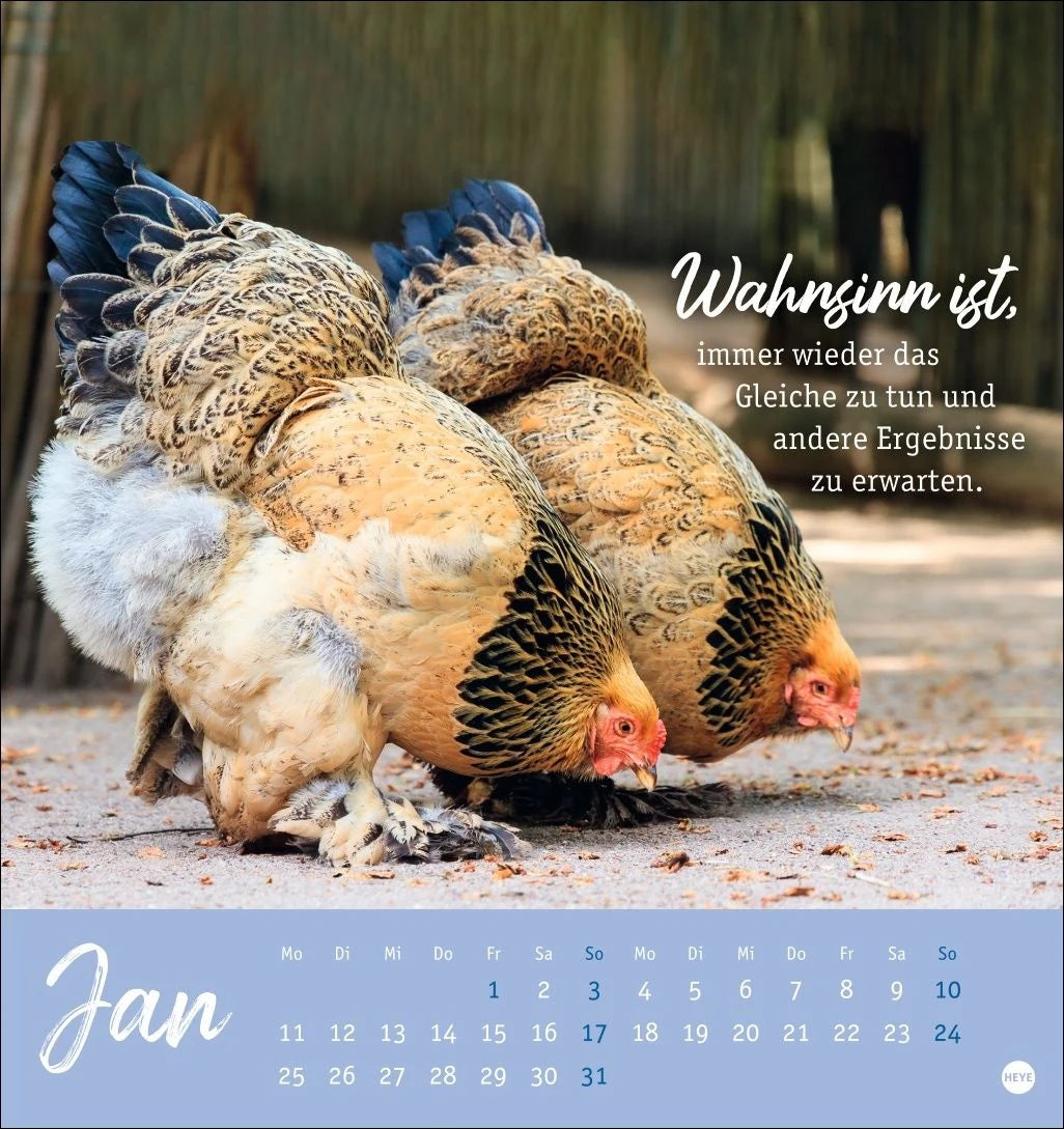 Hühner Postkartenkalender 2027 - Ach, du verrücktes Huhn! – Ansicht