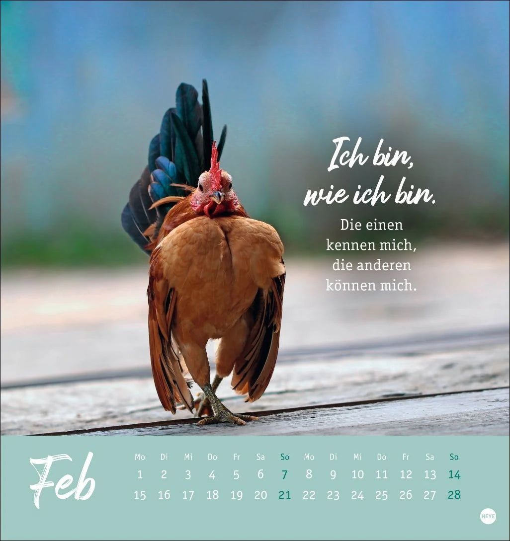 Hühner Postkartenkalender 2027 - Ach, du verrücktes Huhn! – Ansicht