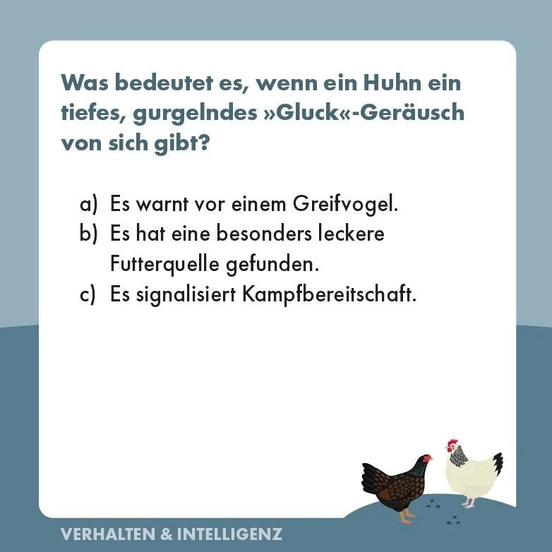 Hühner-Quiz – Ansicht