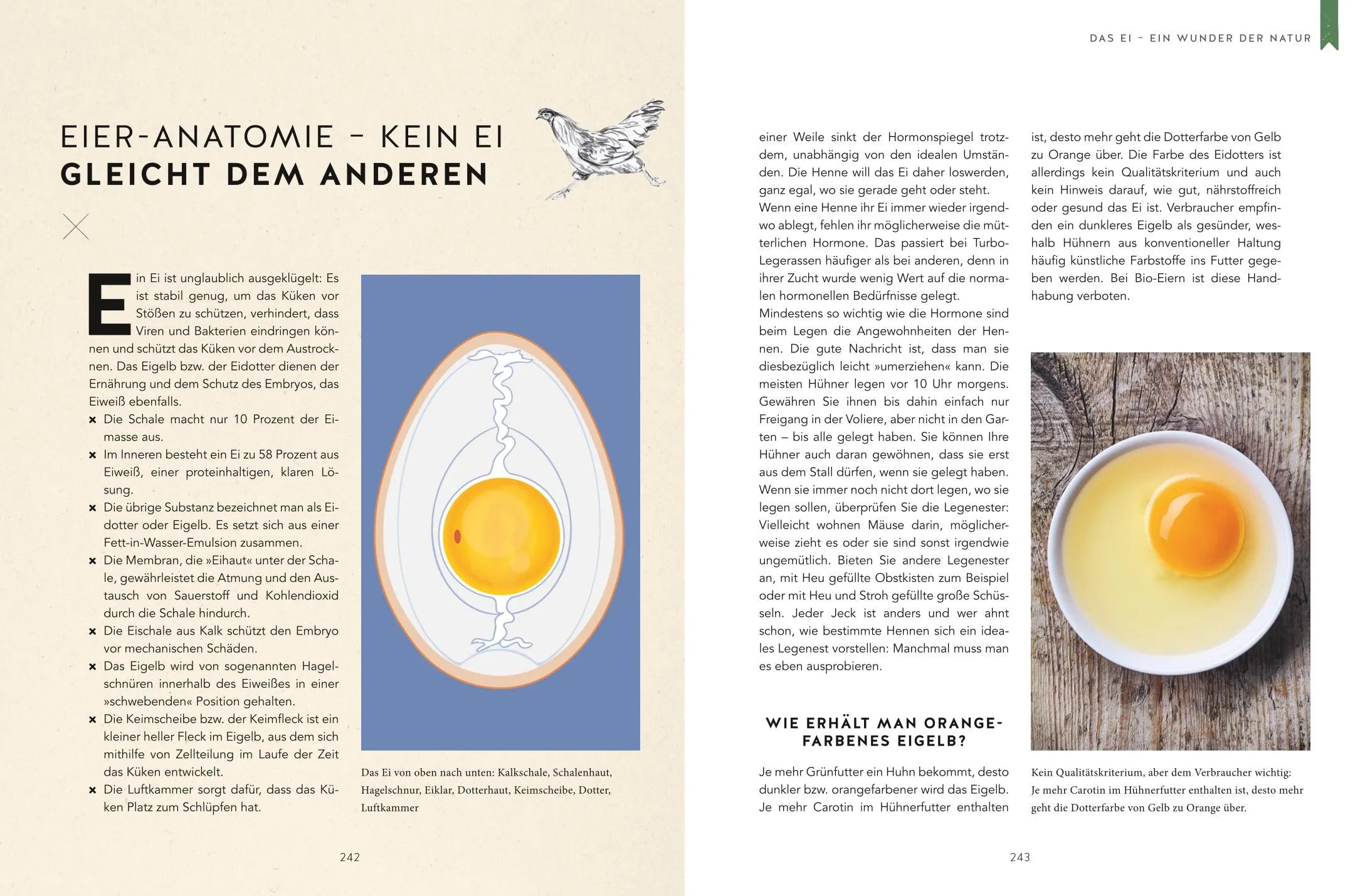 Produktansicht: Hühnerliebe (Gebundene Ausgabe)