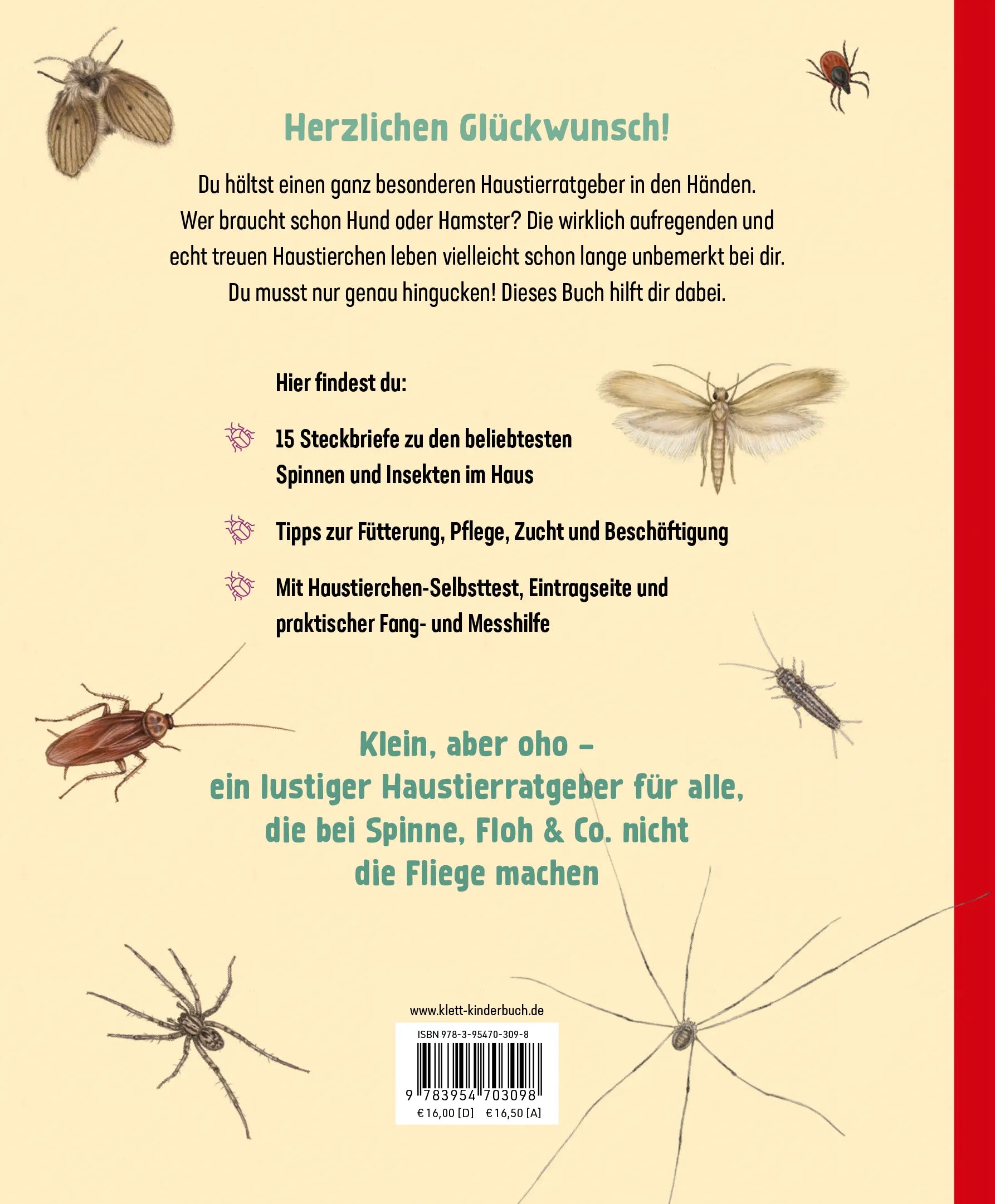 Buchrückseite von 'Hui, Spinne! Haustierchen halten für Anfänger' mit Klappentext - Gebundene Ausgabe