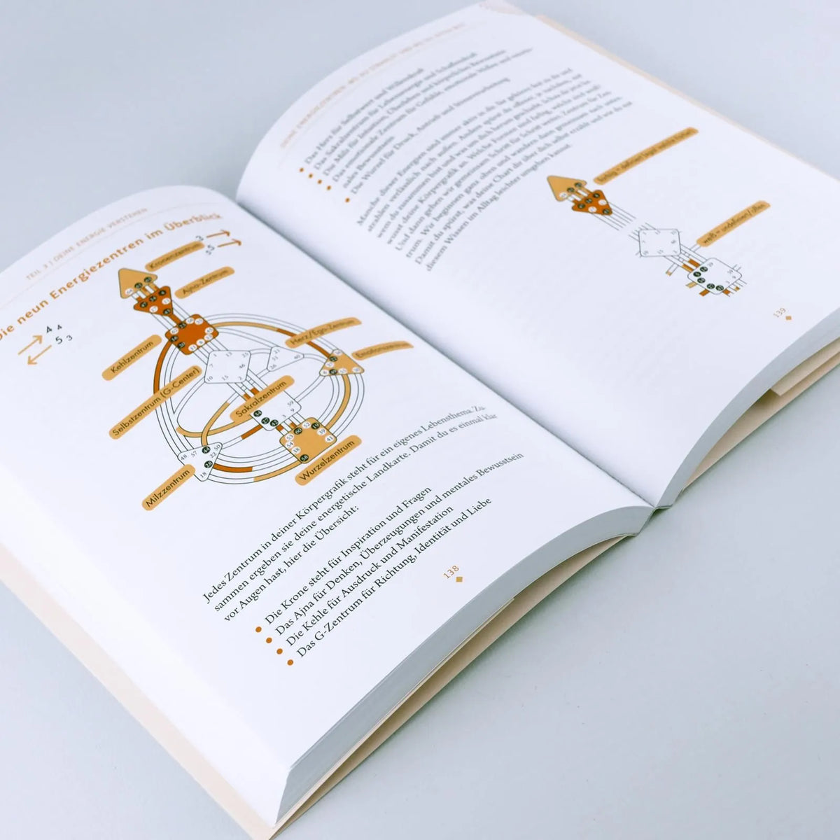 Detailansicht: Human Design: Zurück in deine Energie (Paperback)