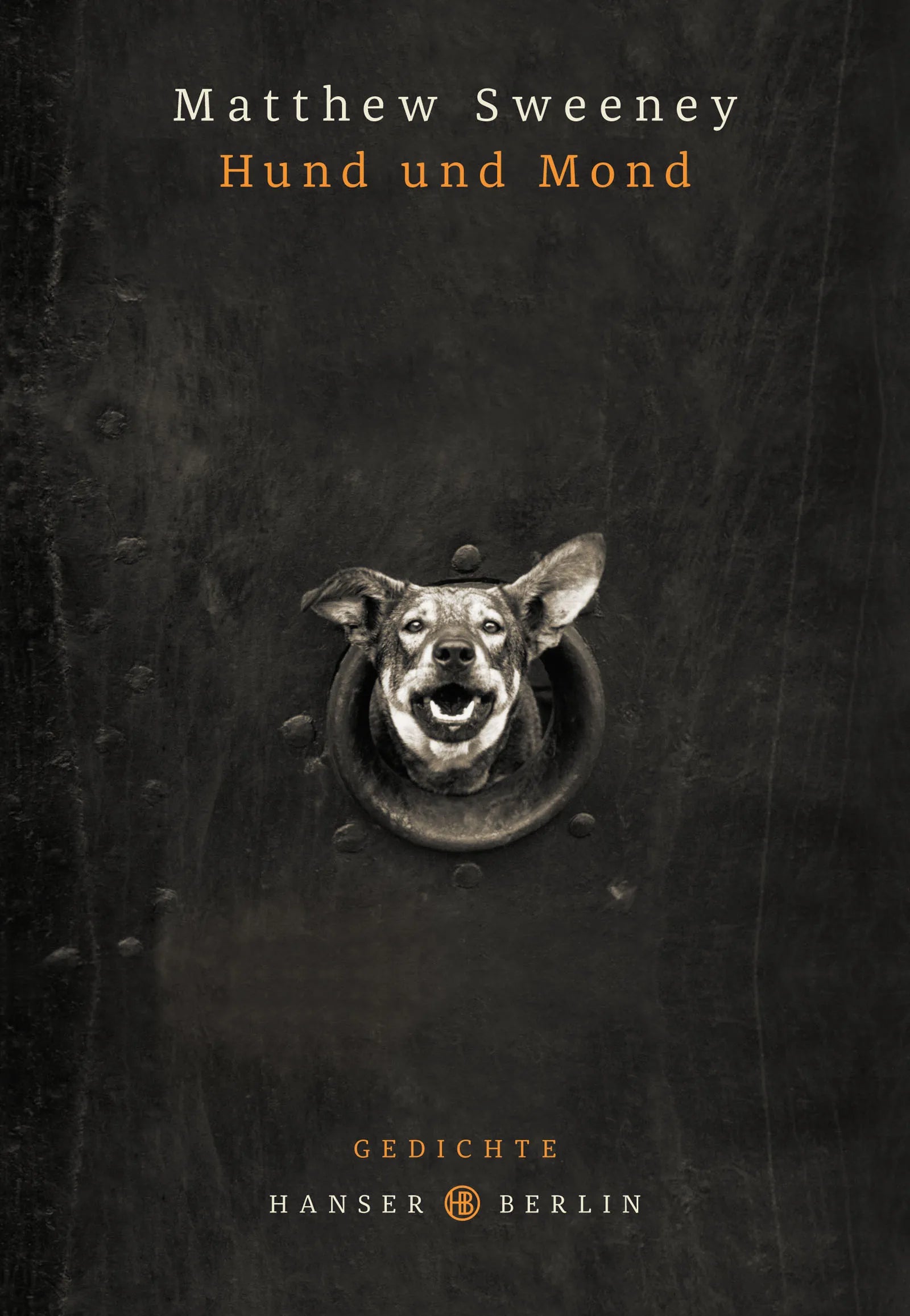 Buchcover von 'Hund und Mond' - Gebundene Ausgabe von Matthew Sweeney