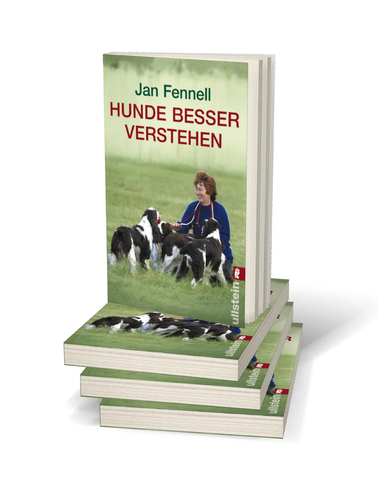 Produktansicht: Hunde besser verstehen (Taschenbuch)