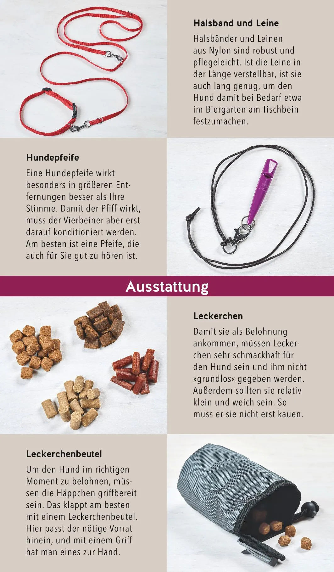 Innenansicht von 'Hunde-Gassi-Box' - Gebundene Ausgabe