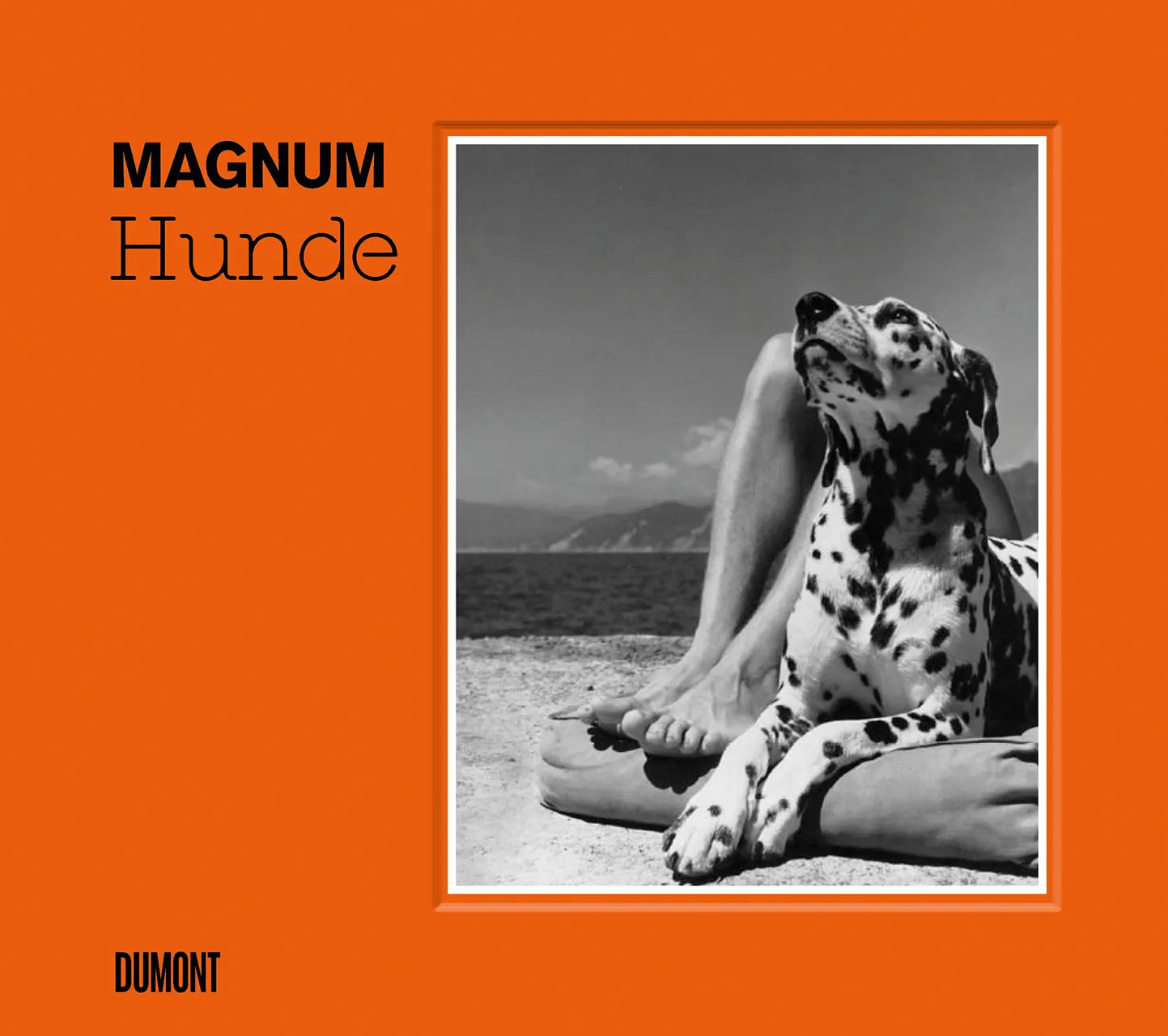 Buchcover von 'HUNDE' - Gebundene Ausgabe von Magnum Photos