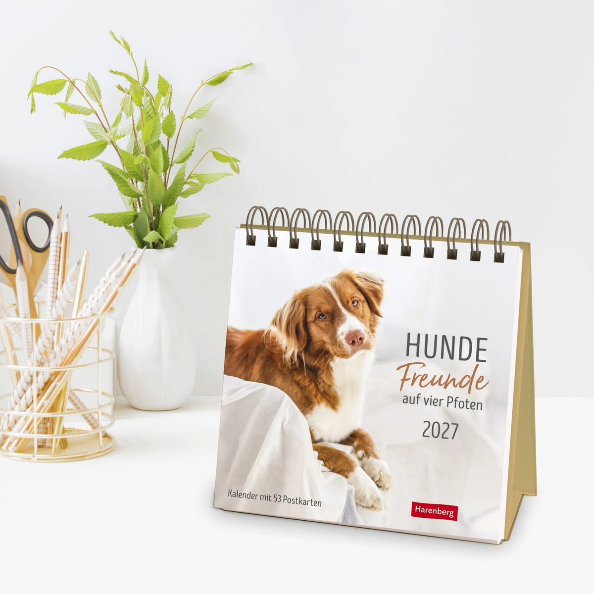 Hunde Premium-Postkartenkalender 2027 - Freunde auf vier Pfoten; Kalender mit 53 Postkarten – Ansicht