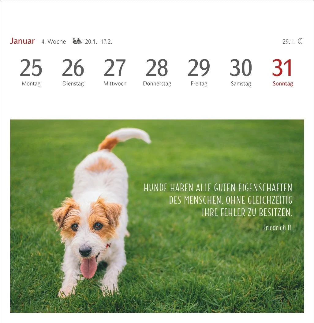 Hunde Premium-Postkartenkalender 2027 - Freunde auf vier Pfoten; Kalender mit 53 Postkarten – Ansicht