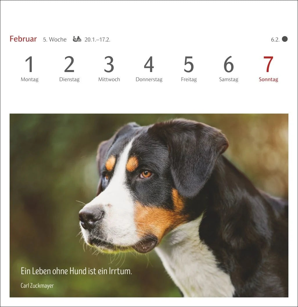 Hunde Premium-Postkartenkalender 2027 - Freunde auf vier Pfoten; Kalender mit 53 Postkarten – Ansicht