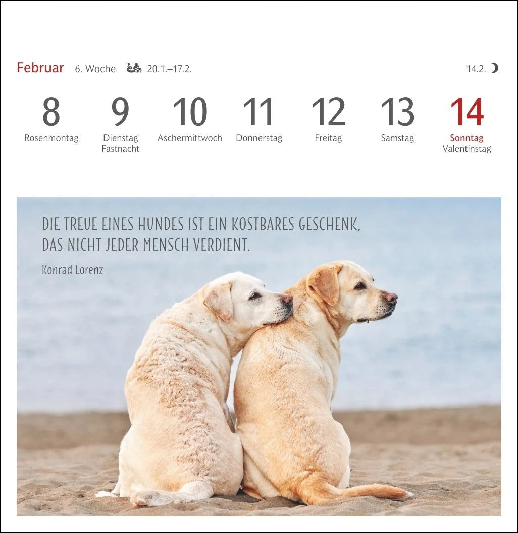 Hunde Premium-Postkartenkalender 2027 - Freunde auf vier Pfoten; Kalender mit 53 Postkarten – Ansicht