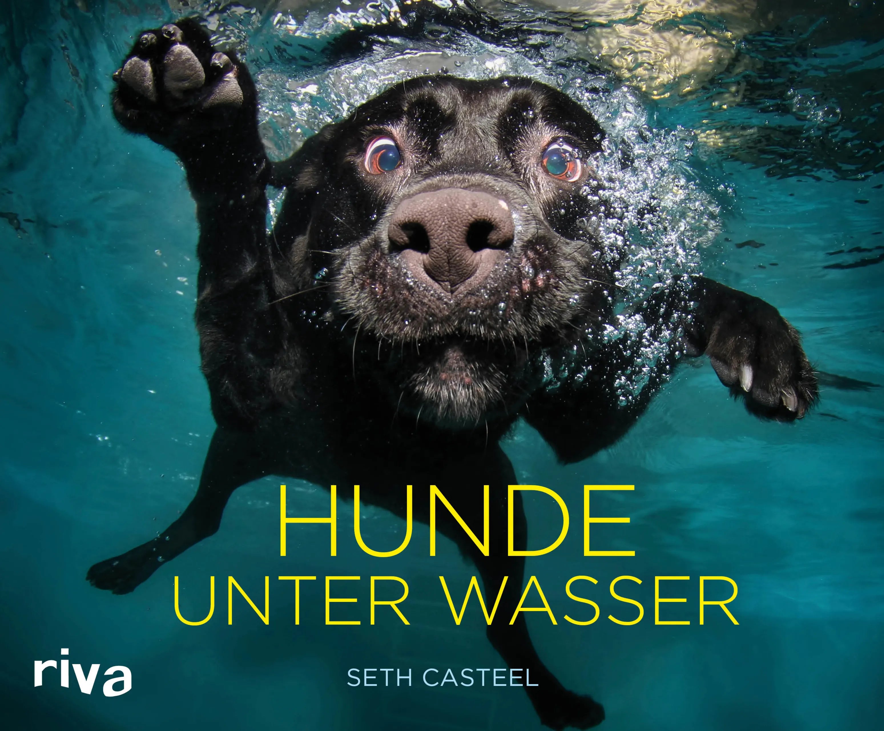 Buchcover von 'Hunde unter Wasser' - Gebundene Ausgabe von Seth Casteel
