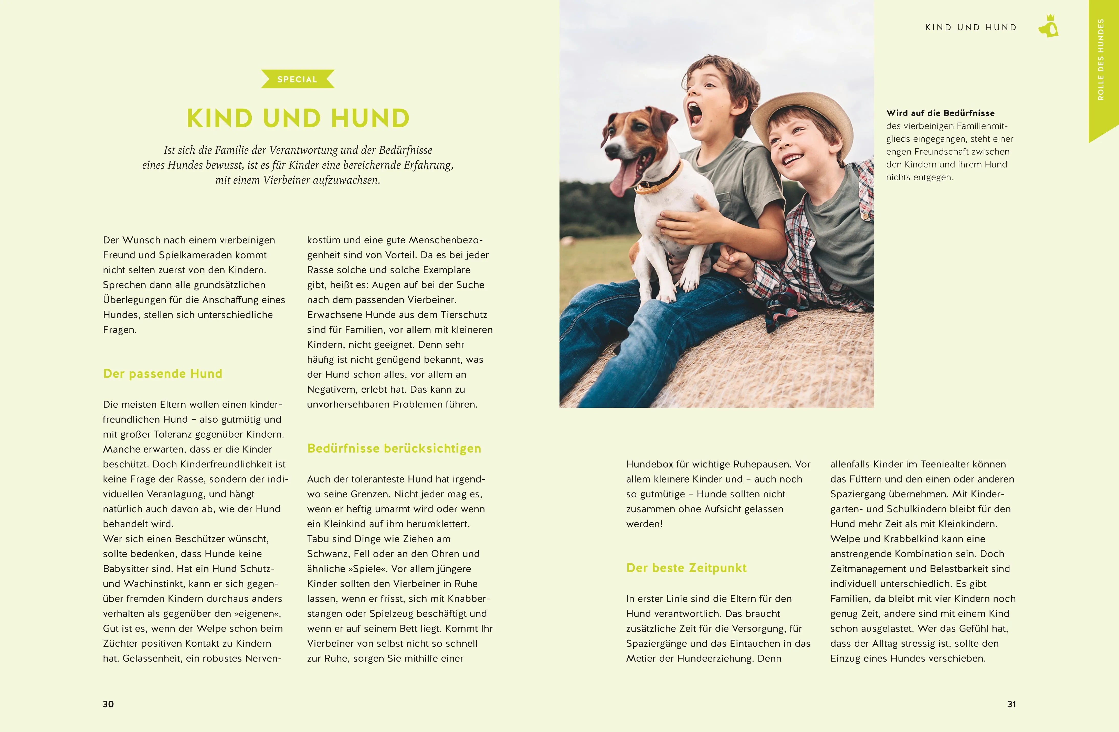 Abbildung von 'Hundeerziehung'