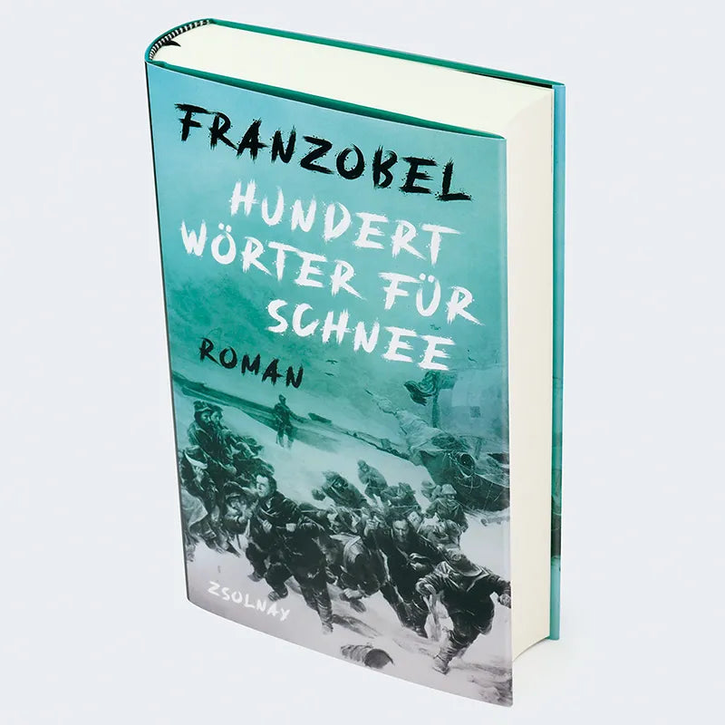 Produktansicht: Hundert Wörter für Schnee (Gebundene Ausgabe)