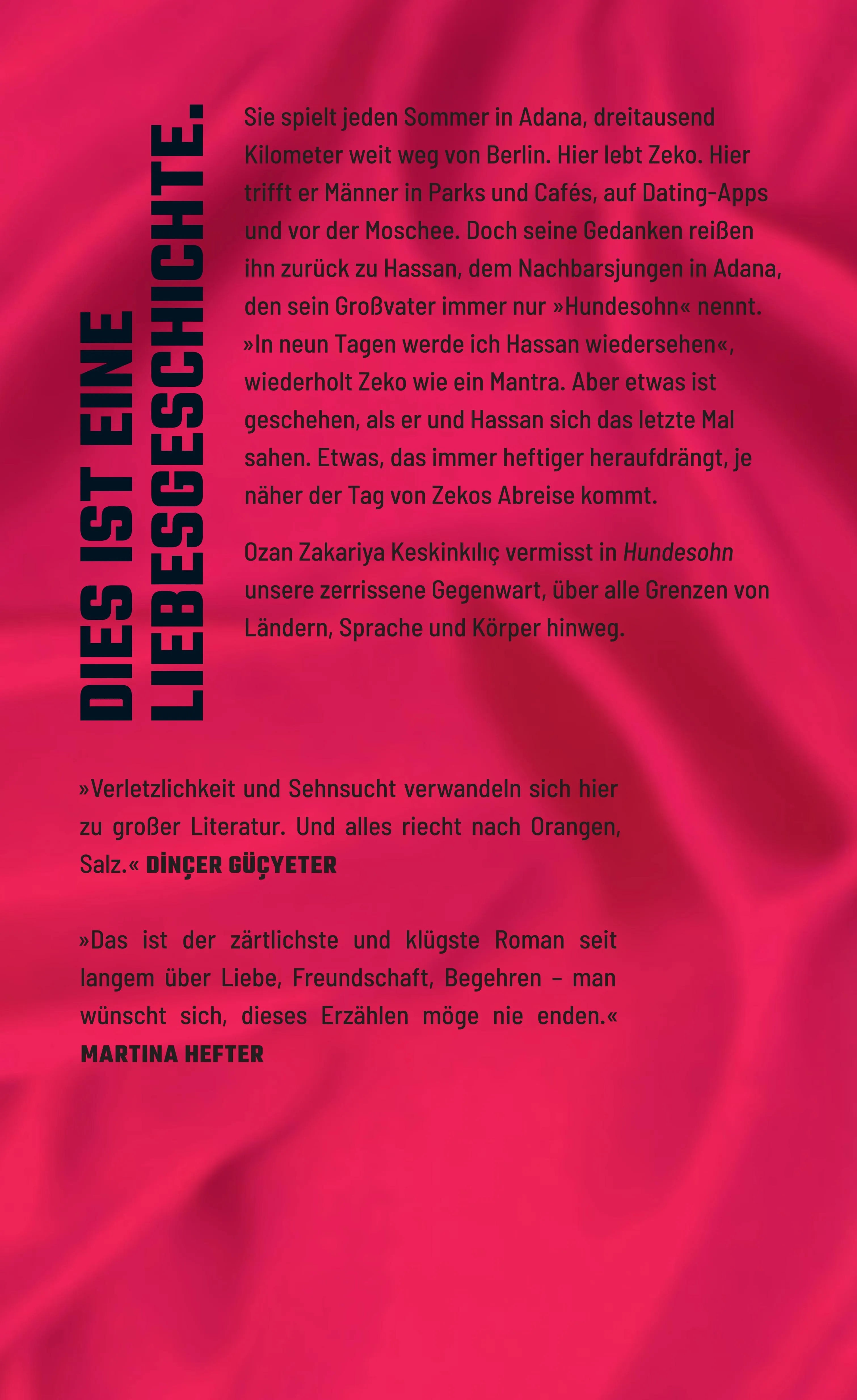 Rückseite: Hundesohn (Hardcover)