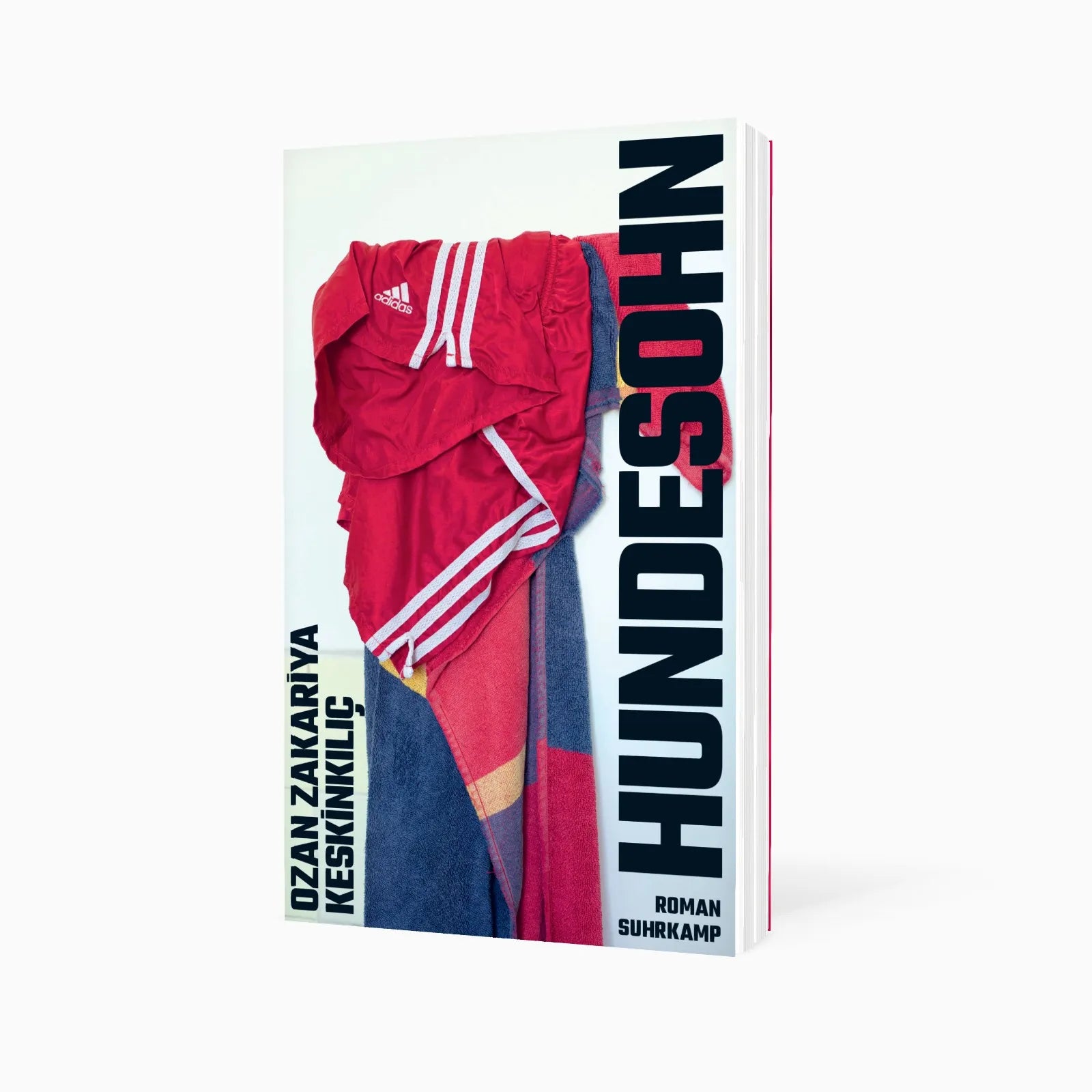 Detailansicht: Hundesohn (Taschenbuch)