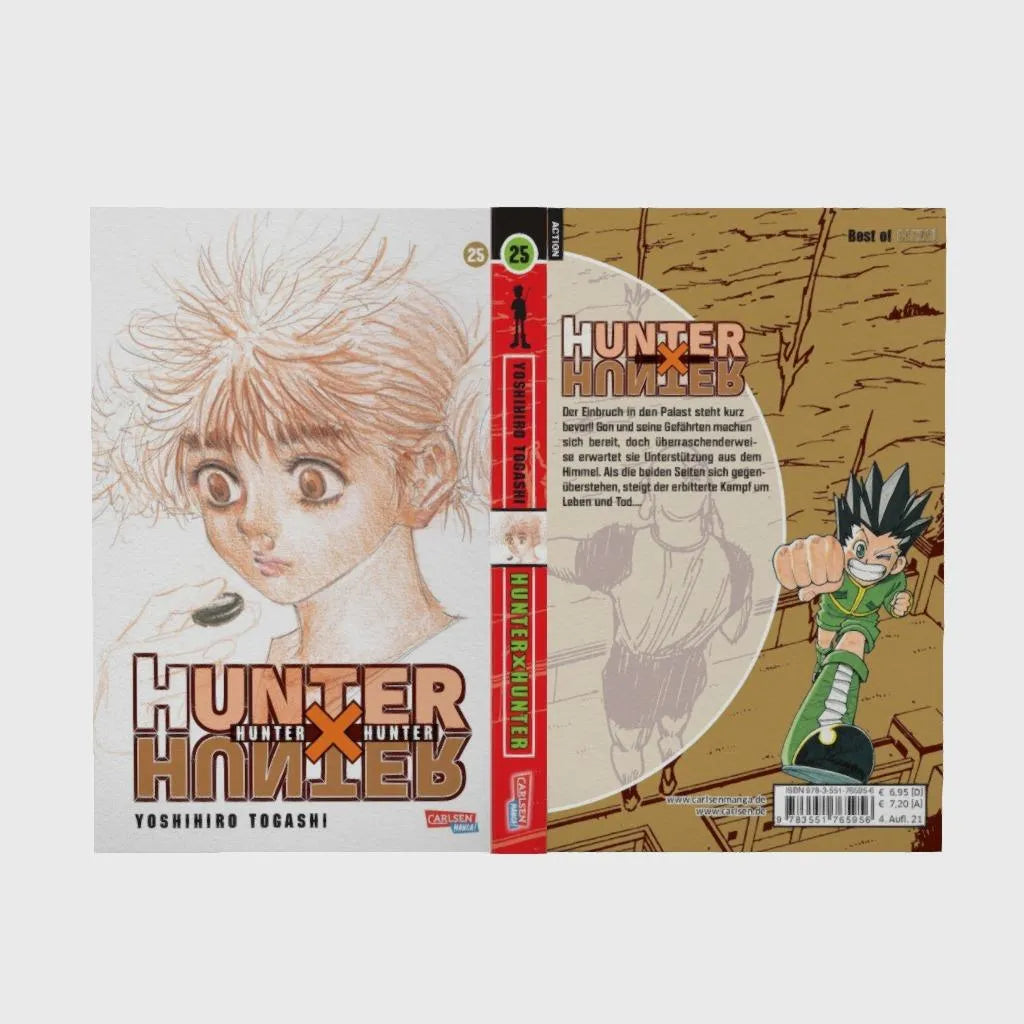 Abbildung von 'Hunter X Hunter 25'