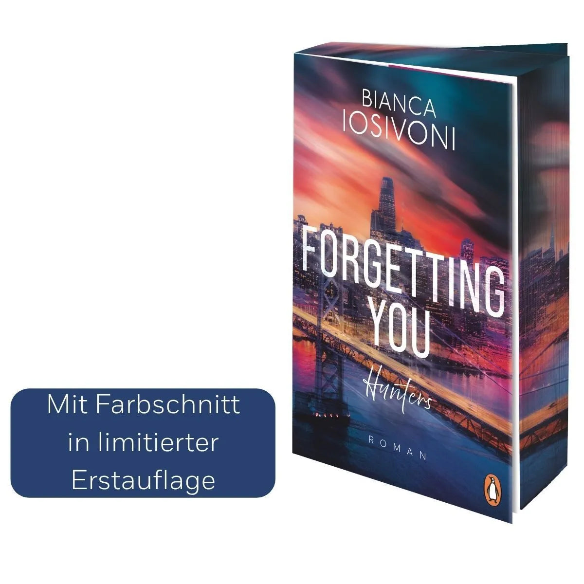 Detailansicht: Hunters - Forgetting You (Paperback)