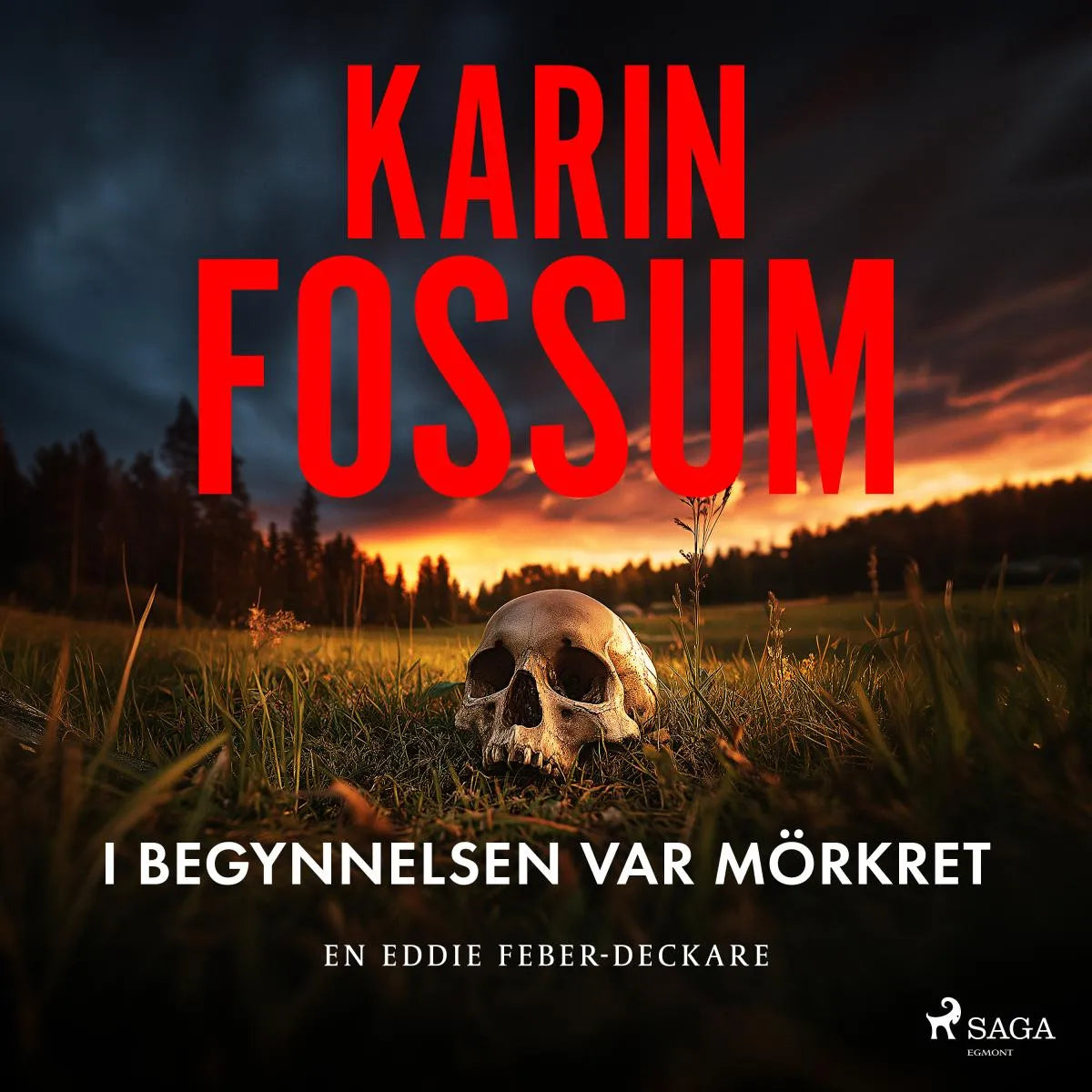Cover: I begynnelsen var mörkret (Hörbuch Download) von Karin Fossum