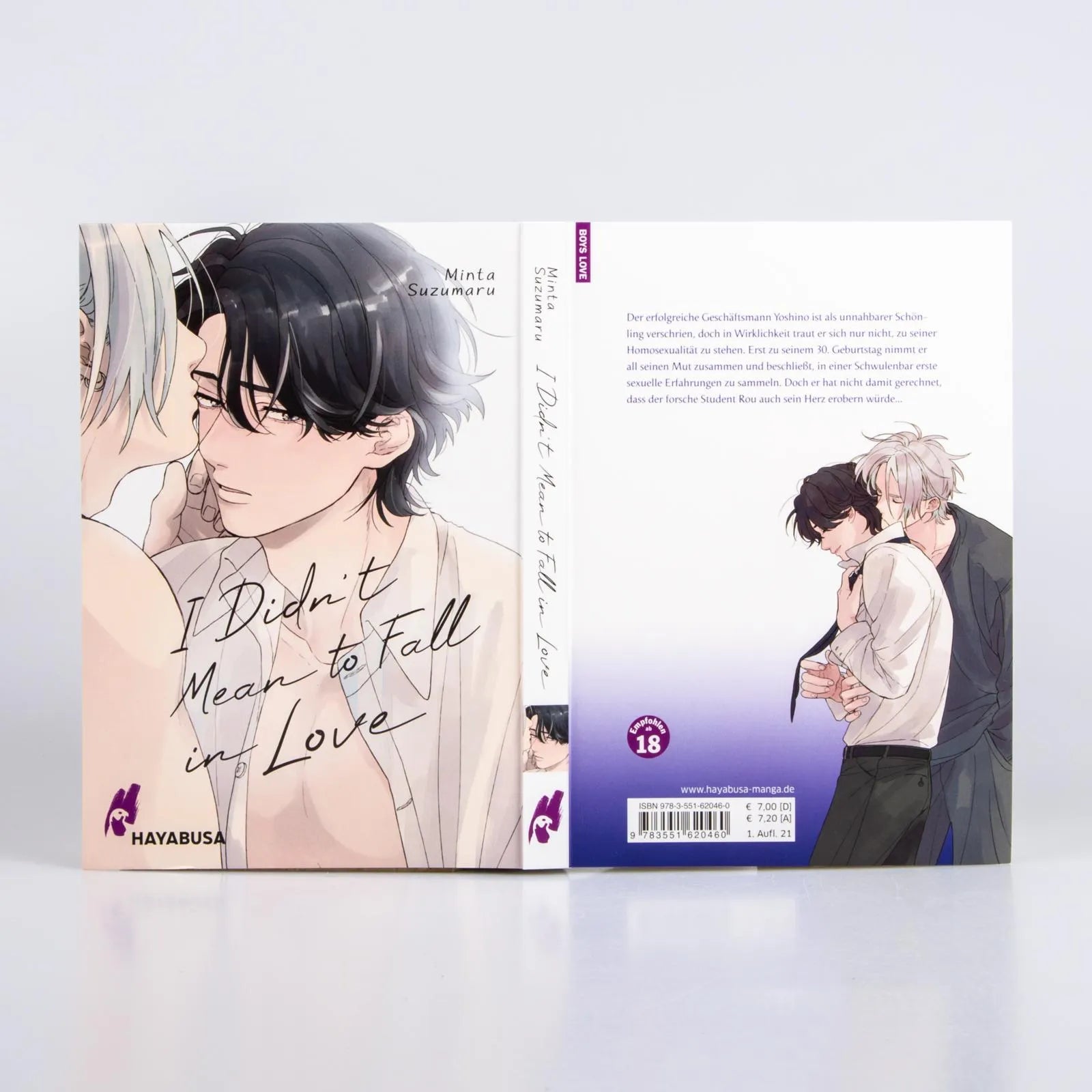Produktansicht: I Didn't Mean to Fall in Love (Taschenbuch)