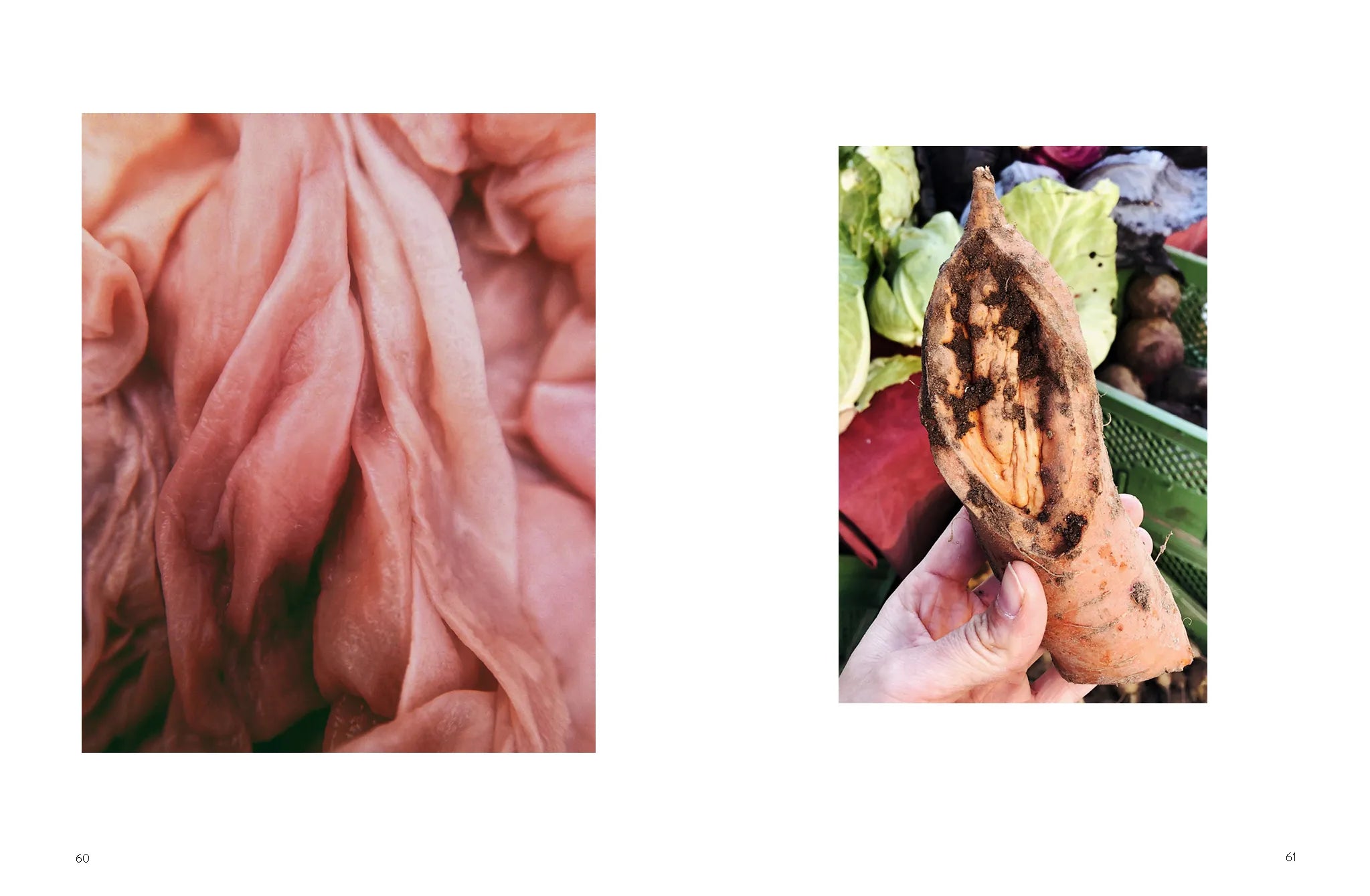 Produktansicht: I see Vulvas everywhere (Gebundene Ausgabe)