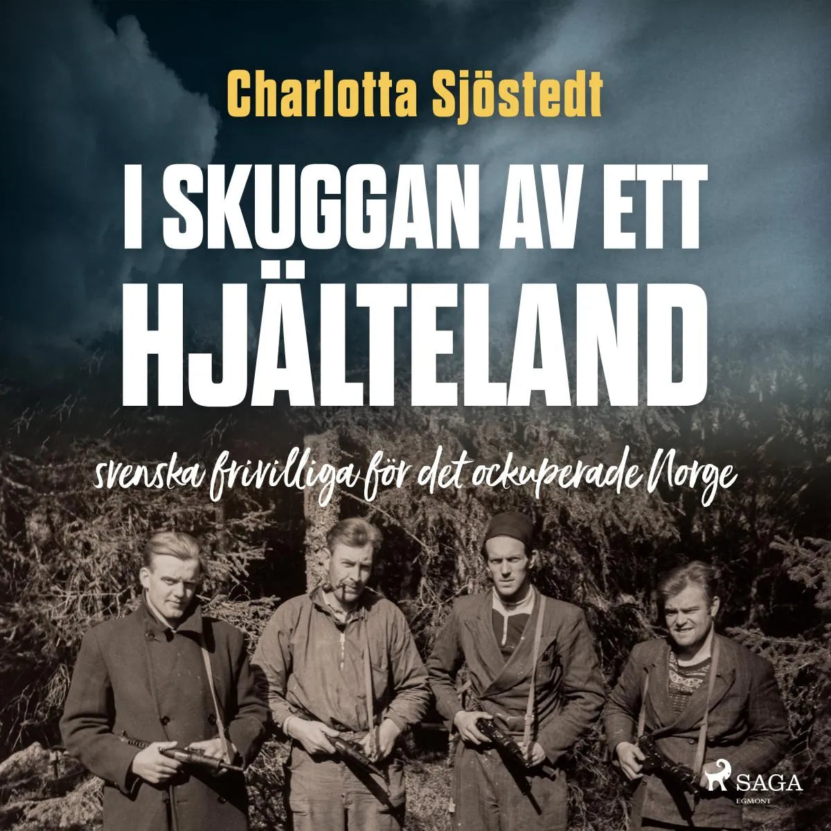 Cover: I skuggan av ett hjälteland (Hörbuch Download) von Charlotta Sjöstedt