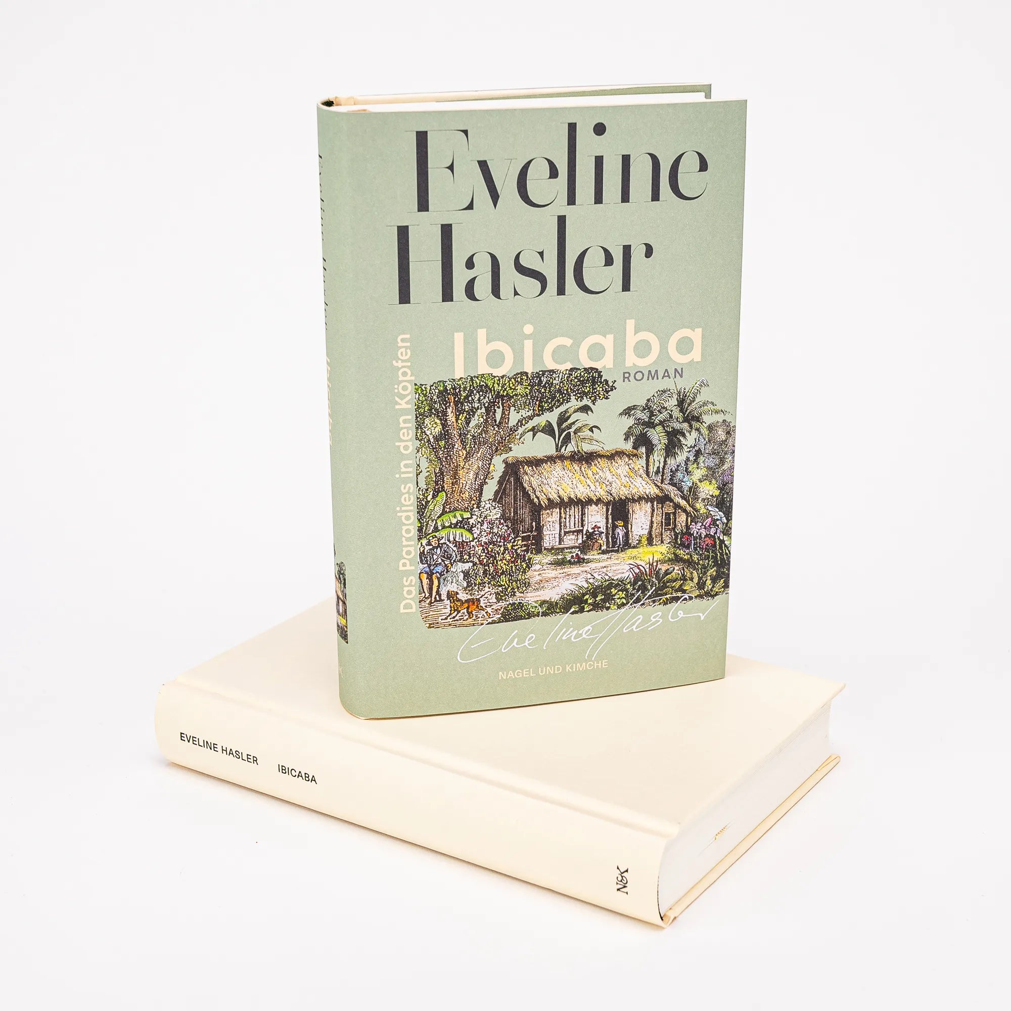 Detailansicht: Ibicaba (Hardcover)