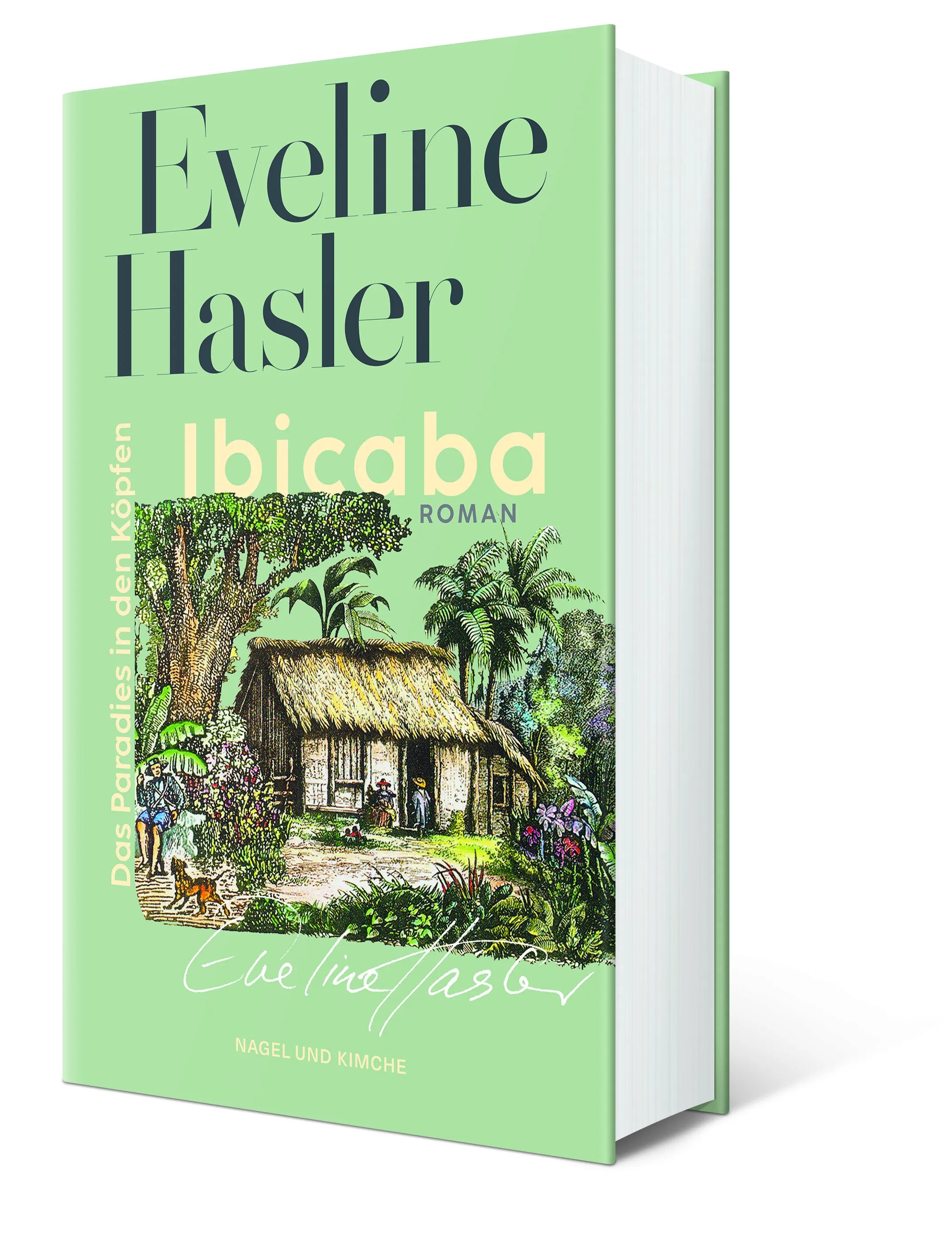 Detailansicht: Ibicaba (Hardcover)
