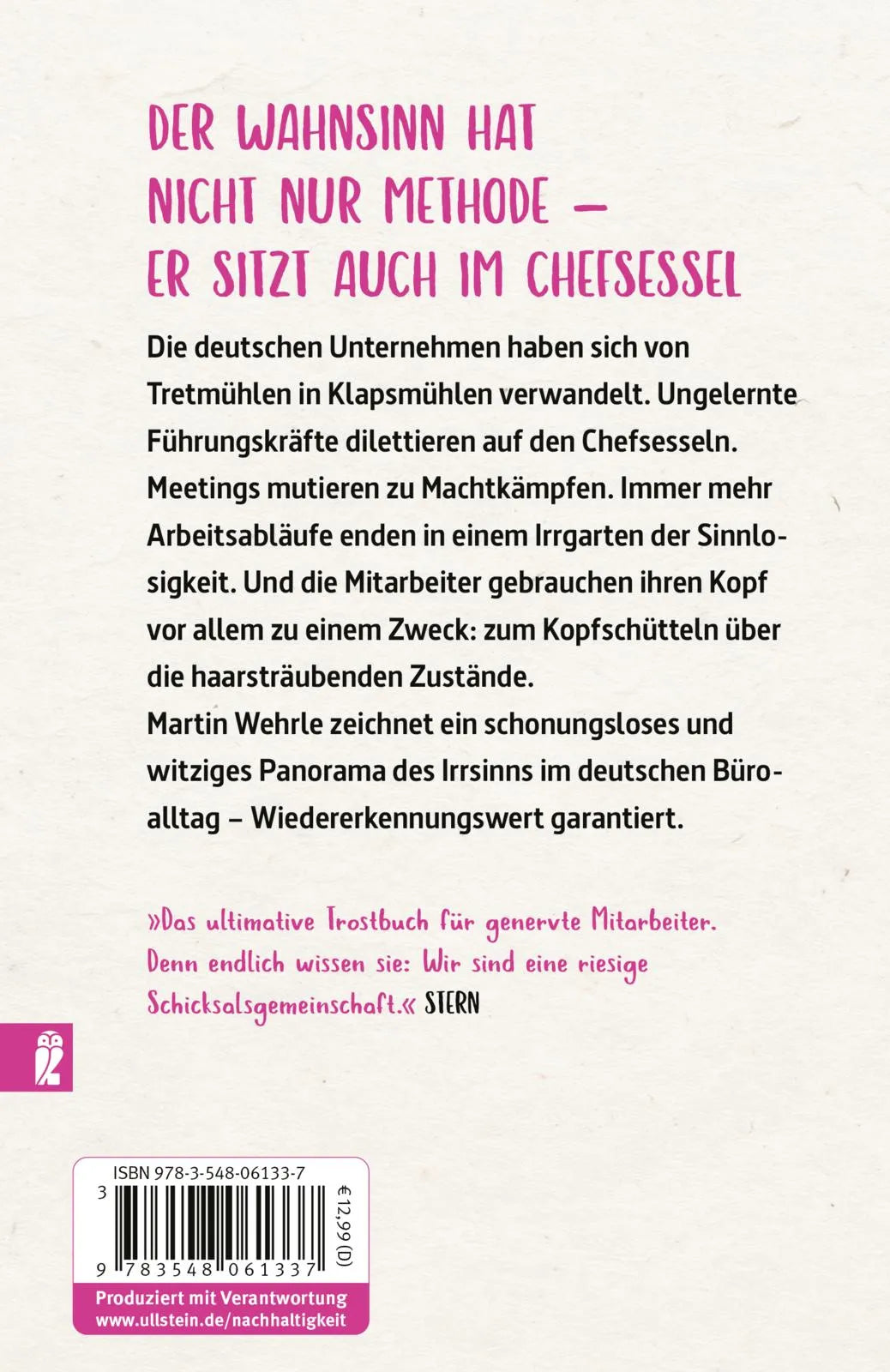Buchrückseite von 'Ich arbeite in einem Irrenhaus' mit Klappentext - Taschenbuch