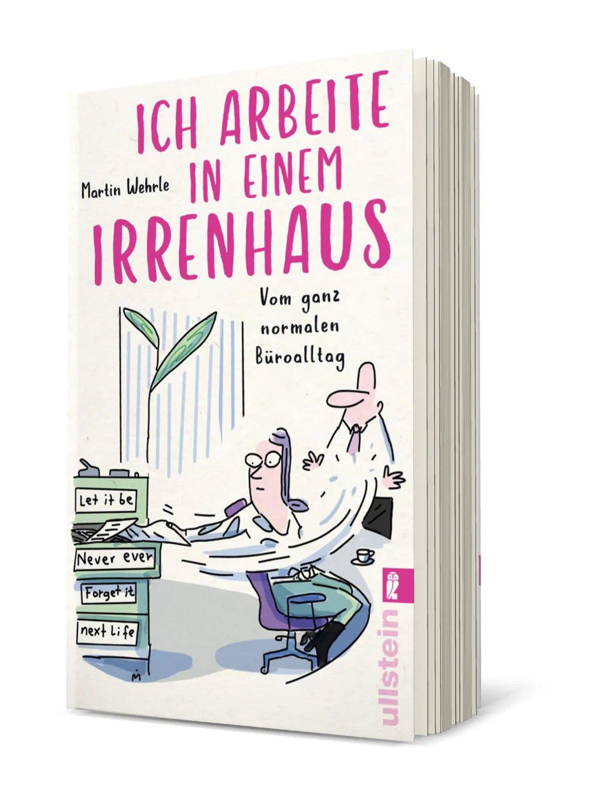 Produktansicht: Ich arbeite in einem Irrenhaus (Taschenbuch)