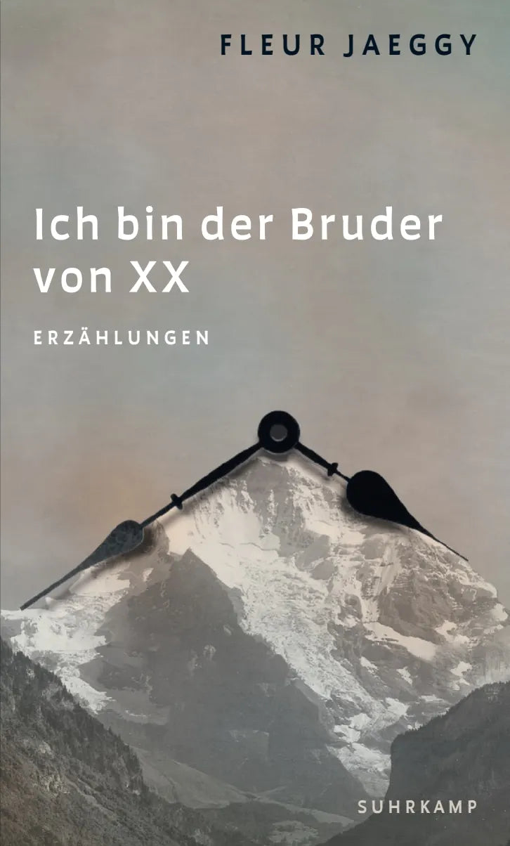 Buchcover von 'Ich bin der Bruder von XX' - Gebundene Ausgabe von Fleur Jaeggy