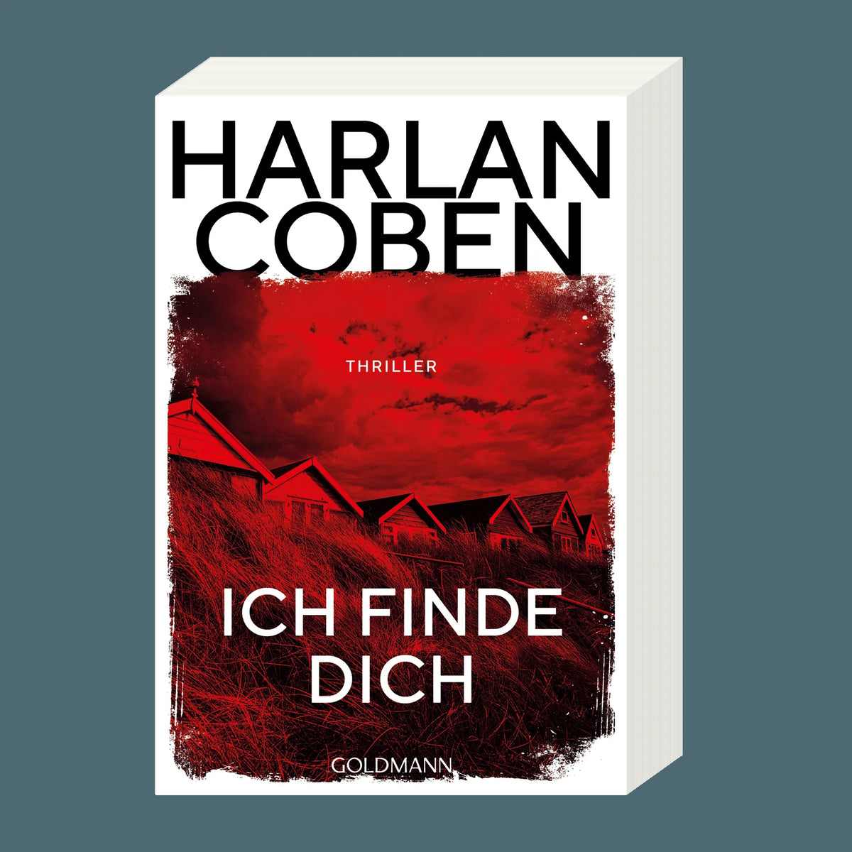 Detailansicht: Ich finde dich (Taschenbuch)